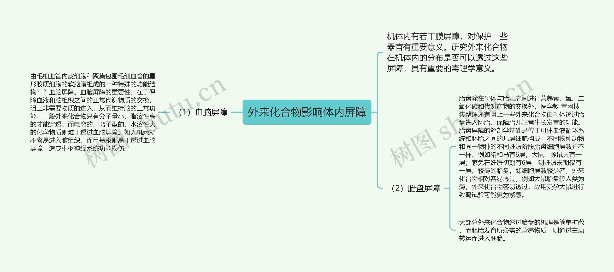 外来化合物影响体内屏障思维导图