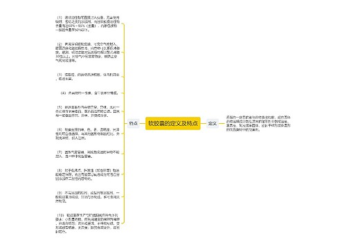 软胶囊的定义及特点