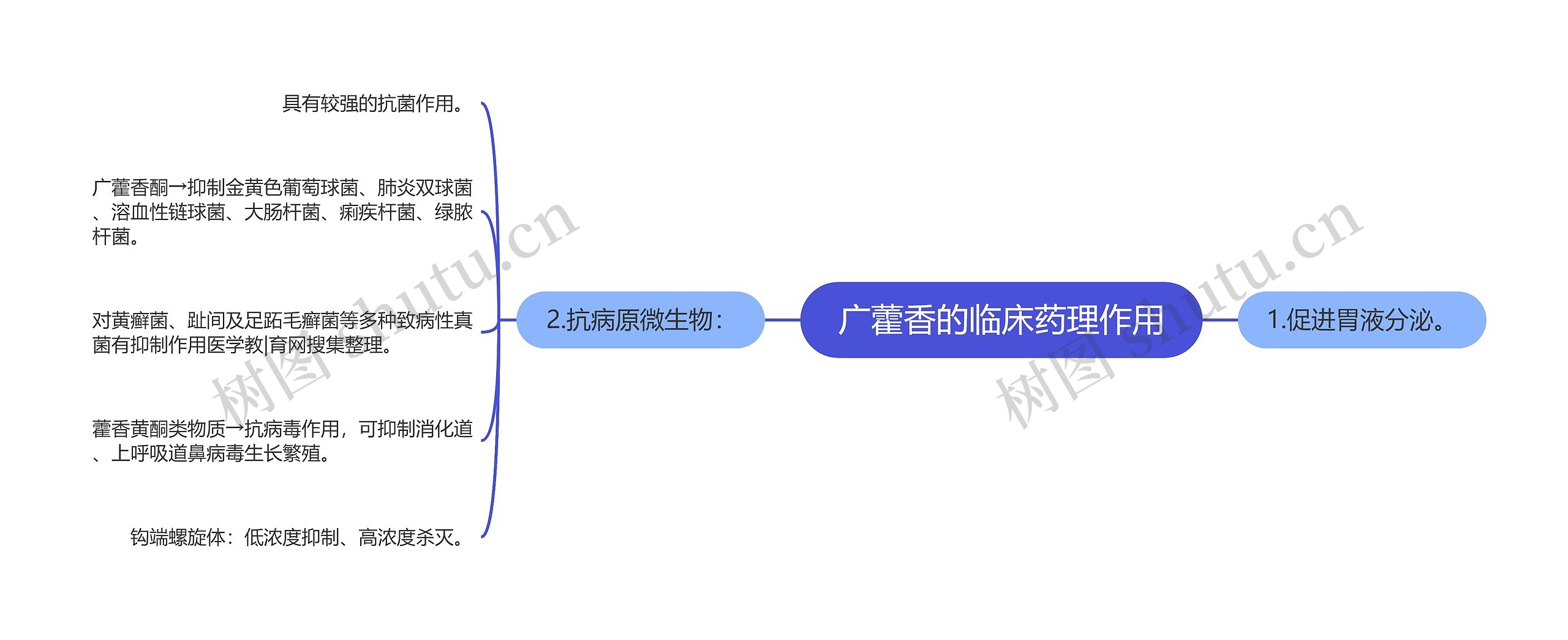 广藿香的临床药理作用