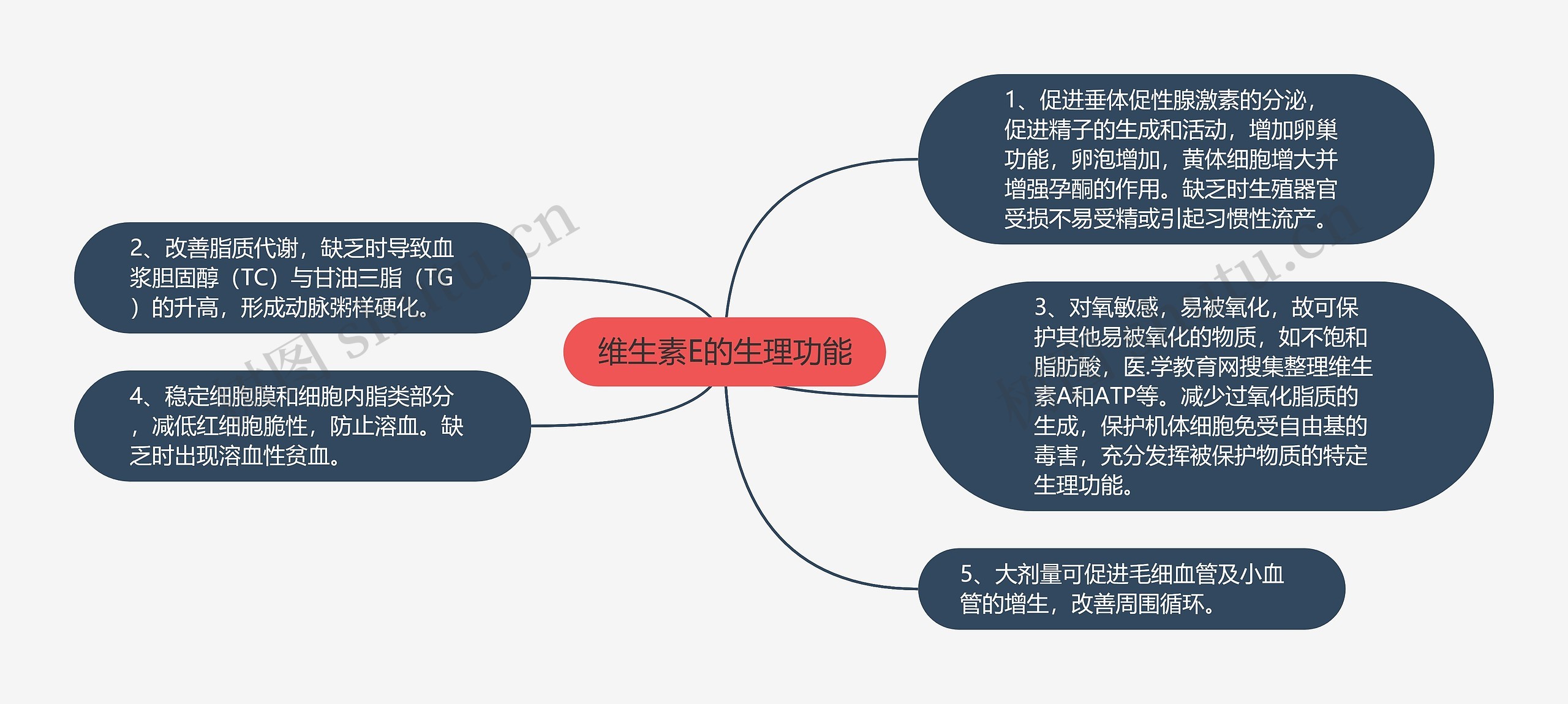 维生素E的生理功能思维导图