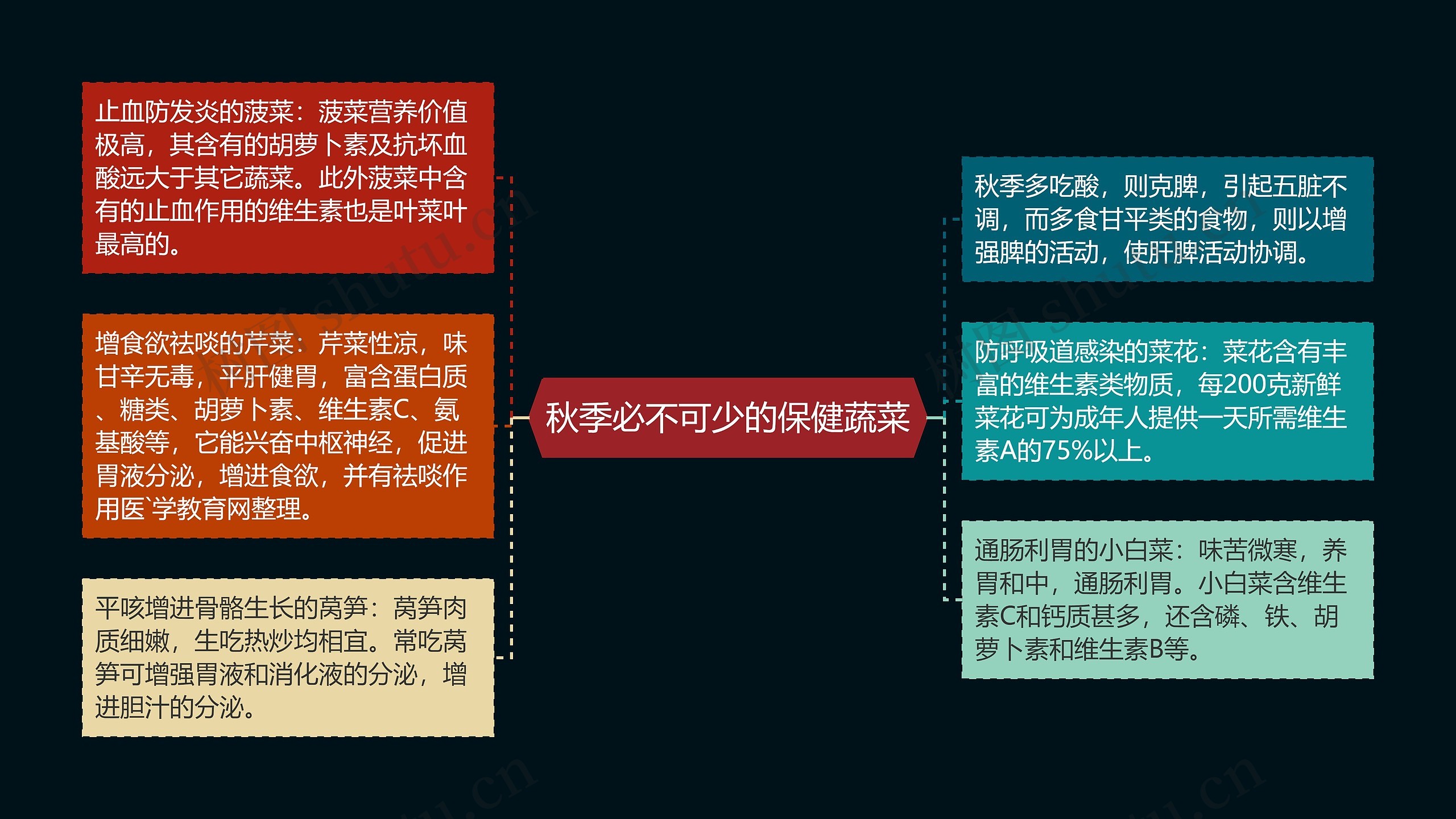 秋季必不可少的保健蔬菜思维导图