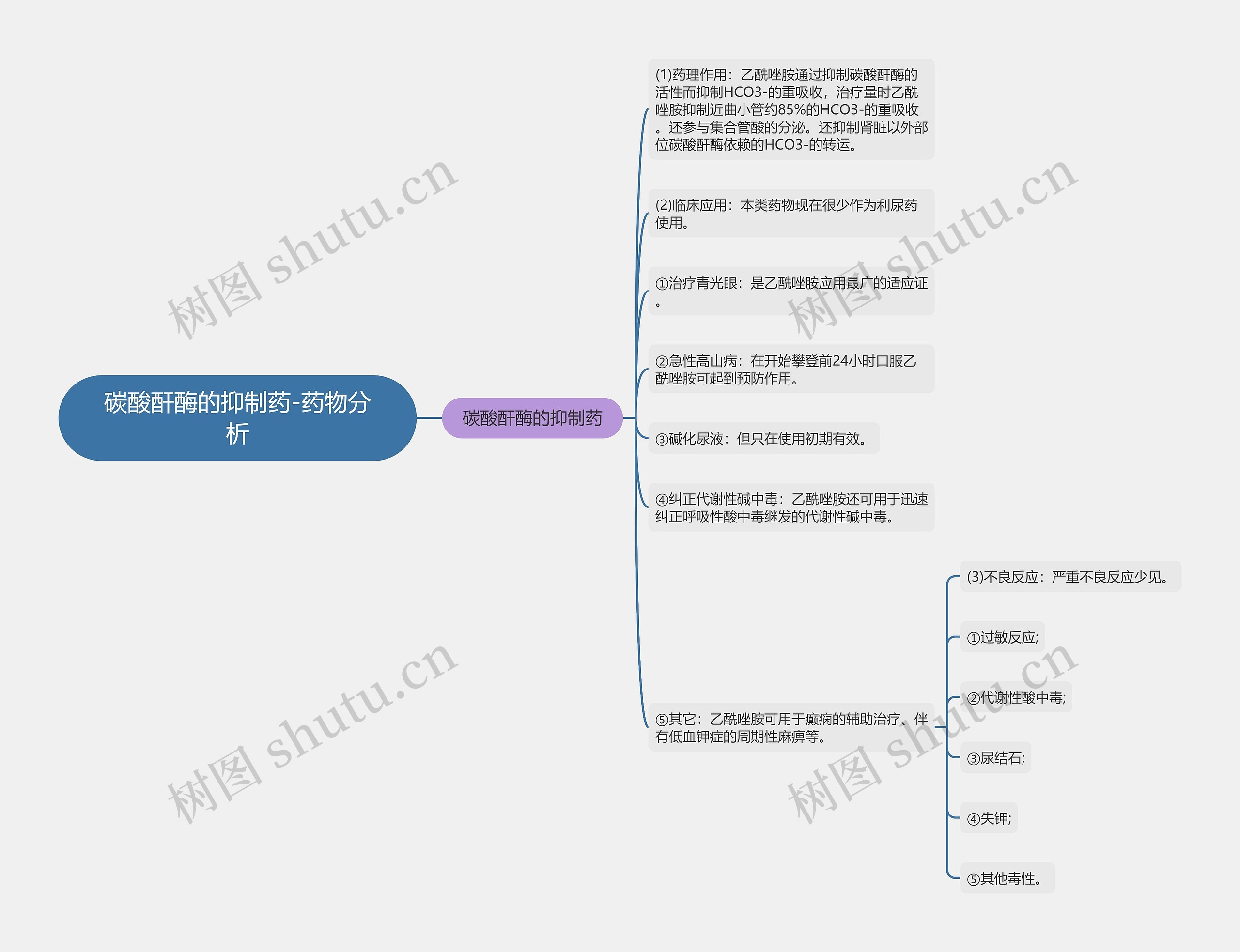 ​碳酸酐酶的抑制药-药物分析思维导图