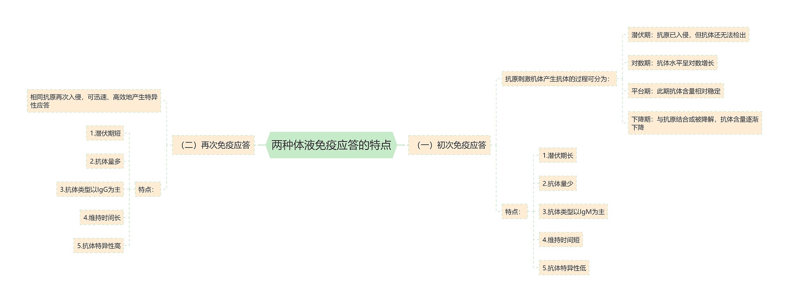 两种体液免疫应答的特点思维导图