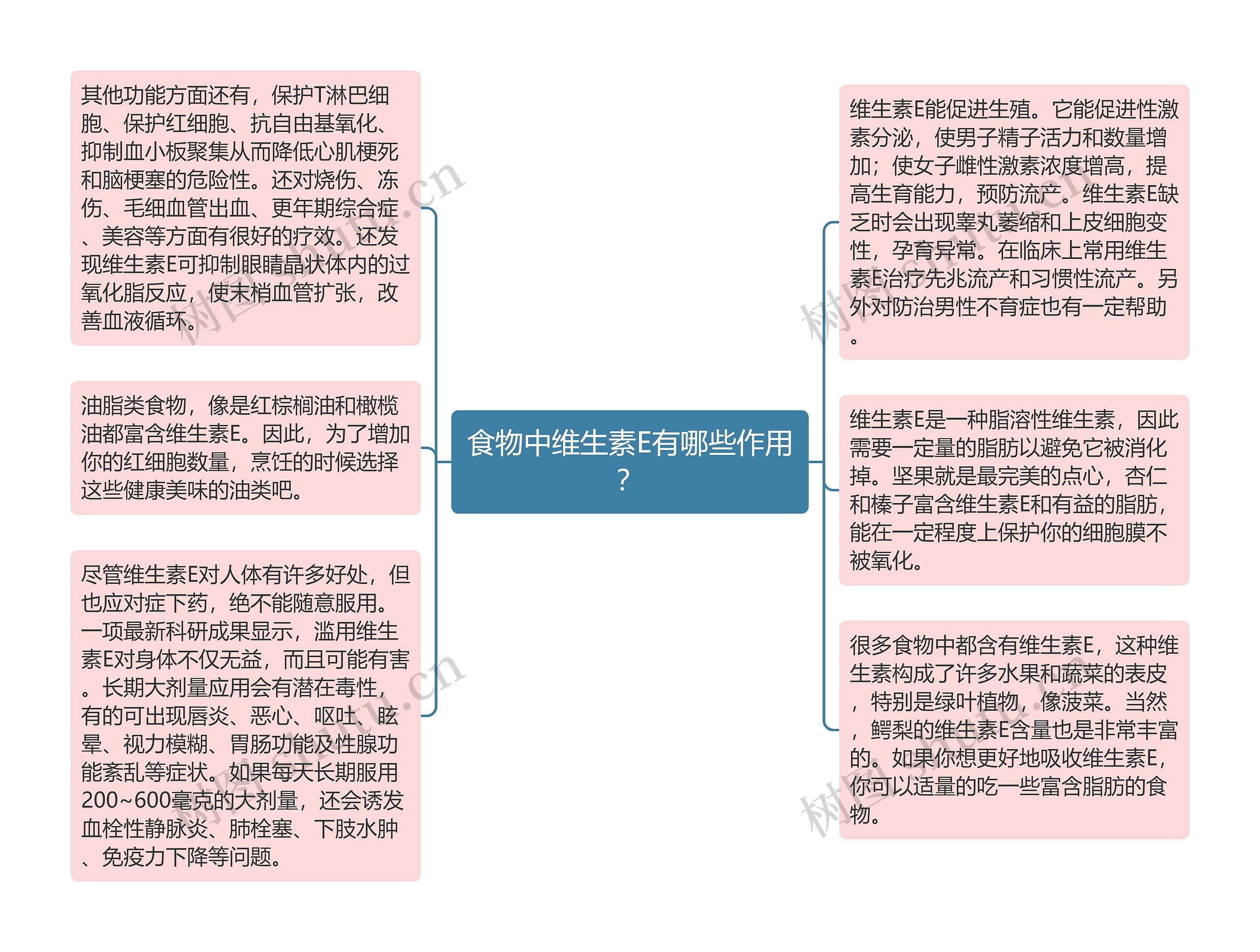 食物中维生素E有哪些作用？思维导图