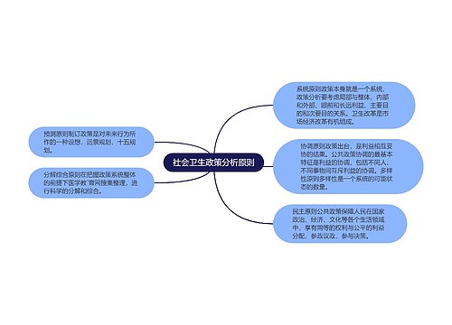 社会卫生政策分析原则