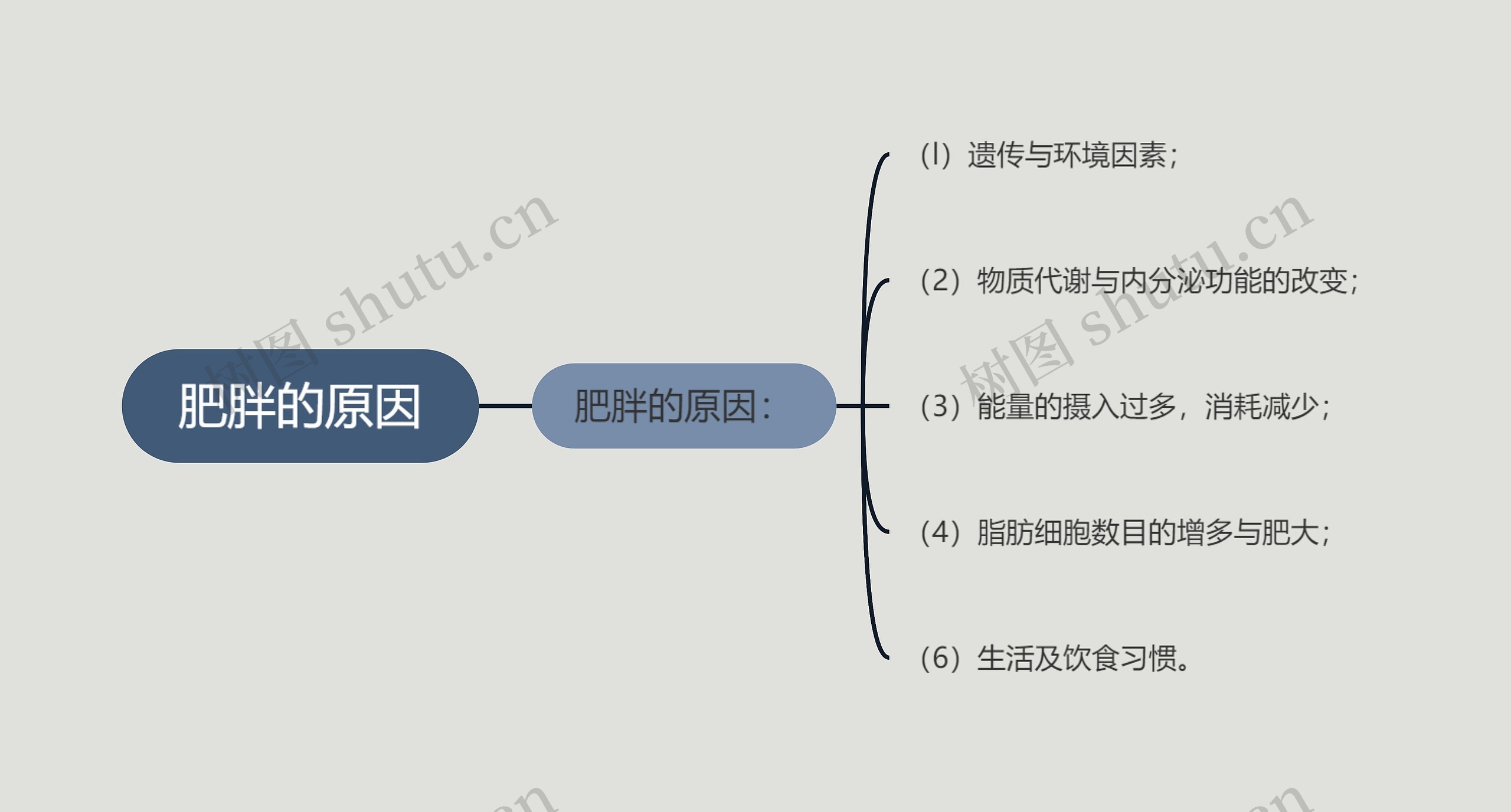 肥胖的原因思维导图