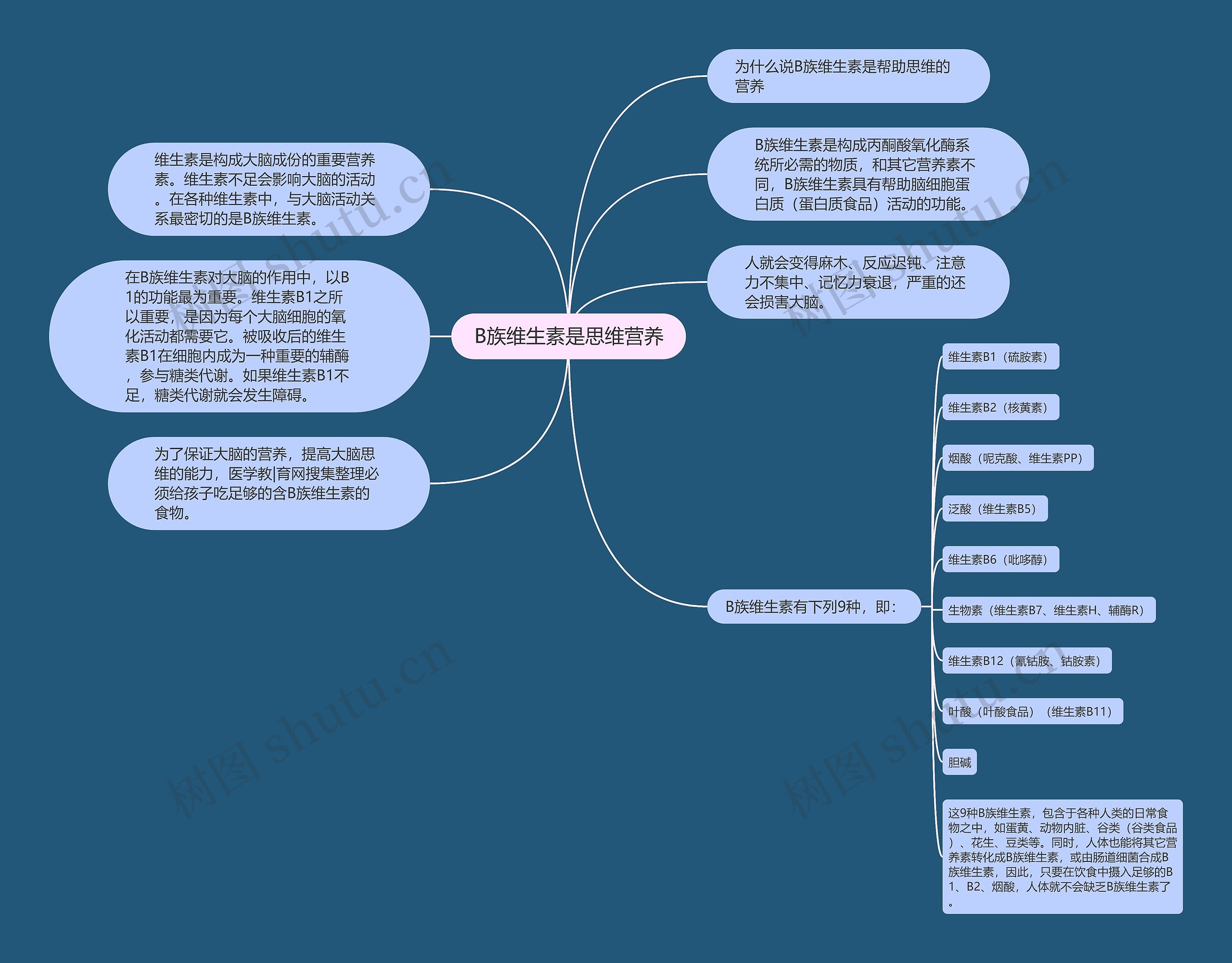 B族维生素是思维营养思维导图