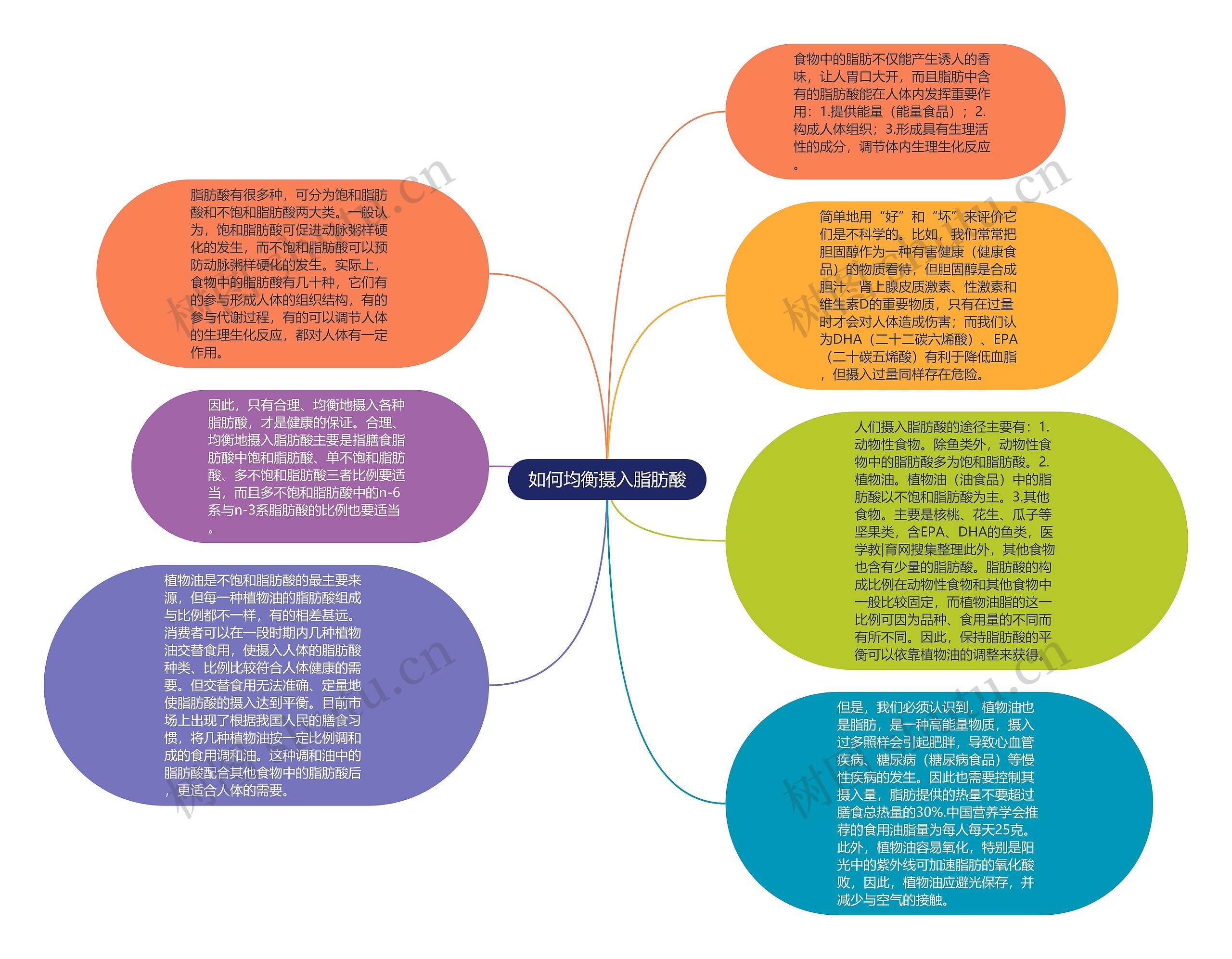 如何均衡摄入脂肪酸思维导图