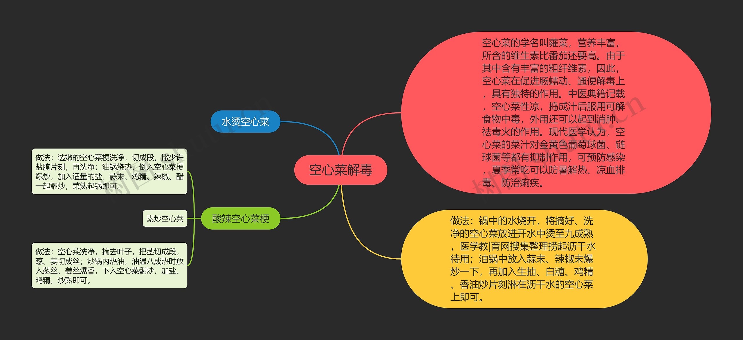 空心菜解毒思维导图