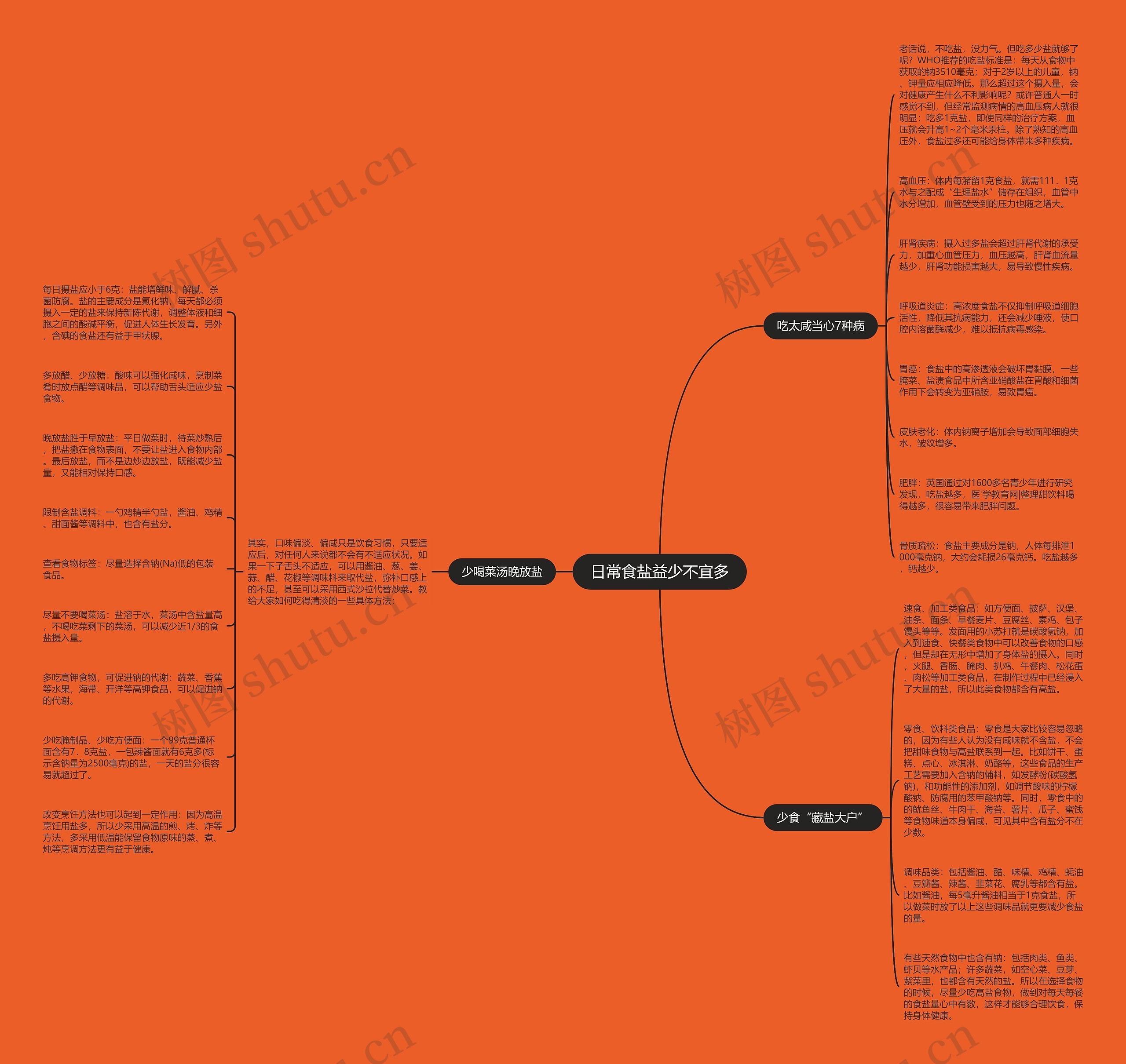 日常食盐益少不宜多思维导图