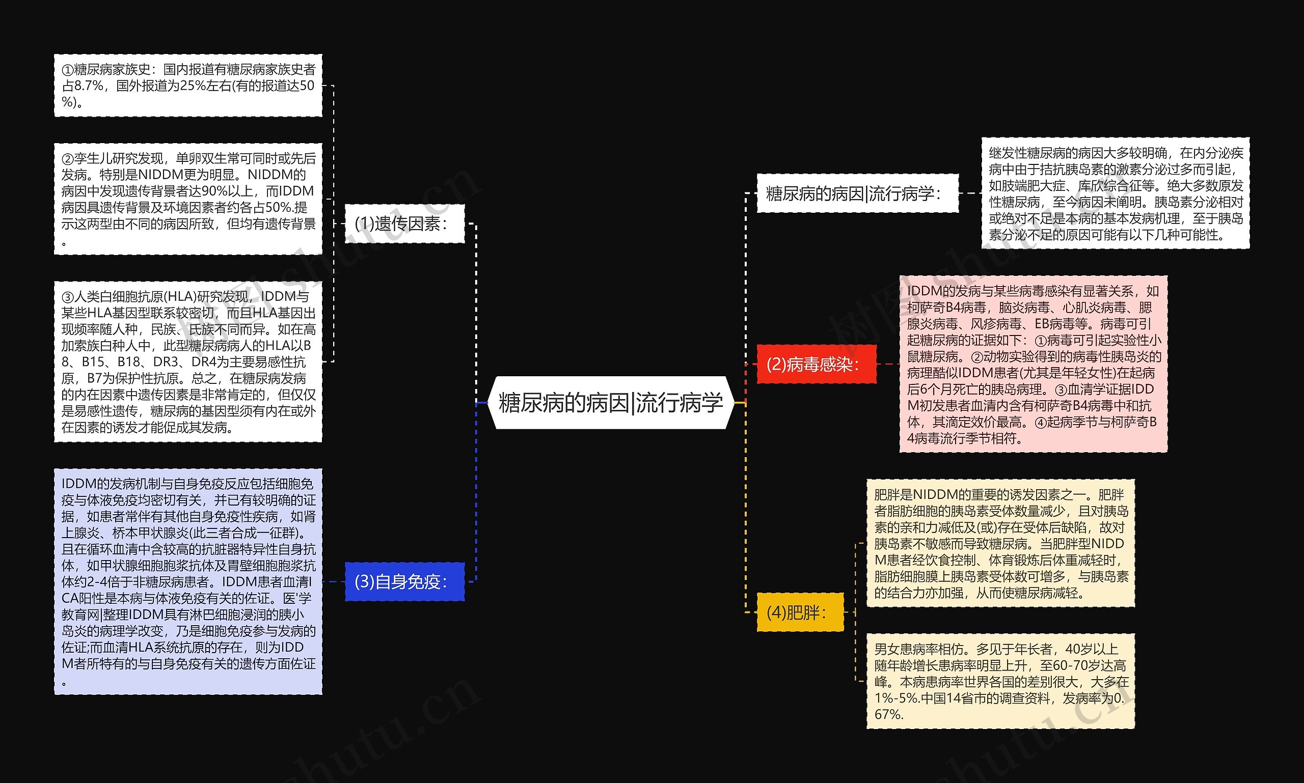 糖尿病的病因|流行病学思维导图