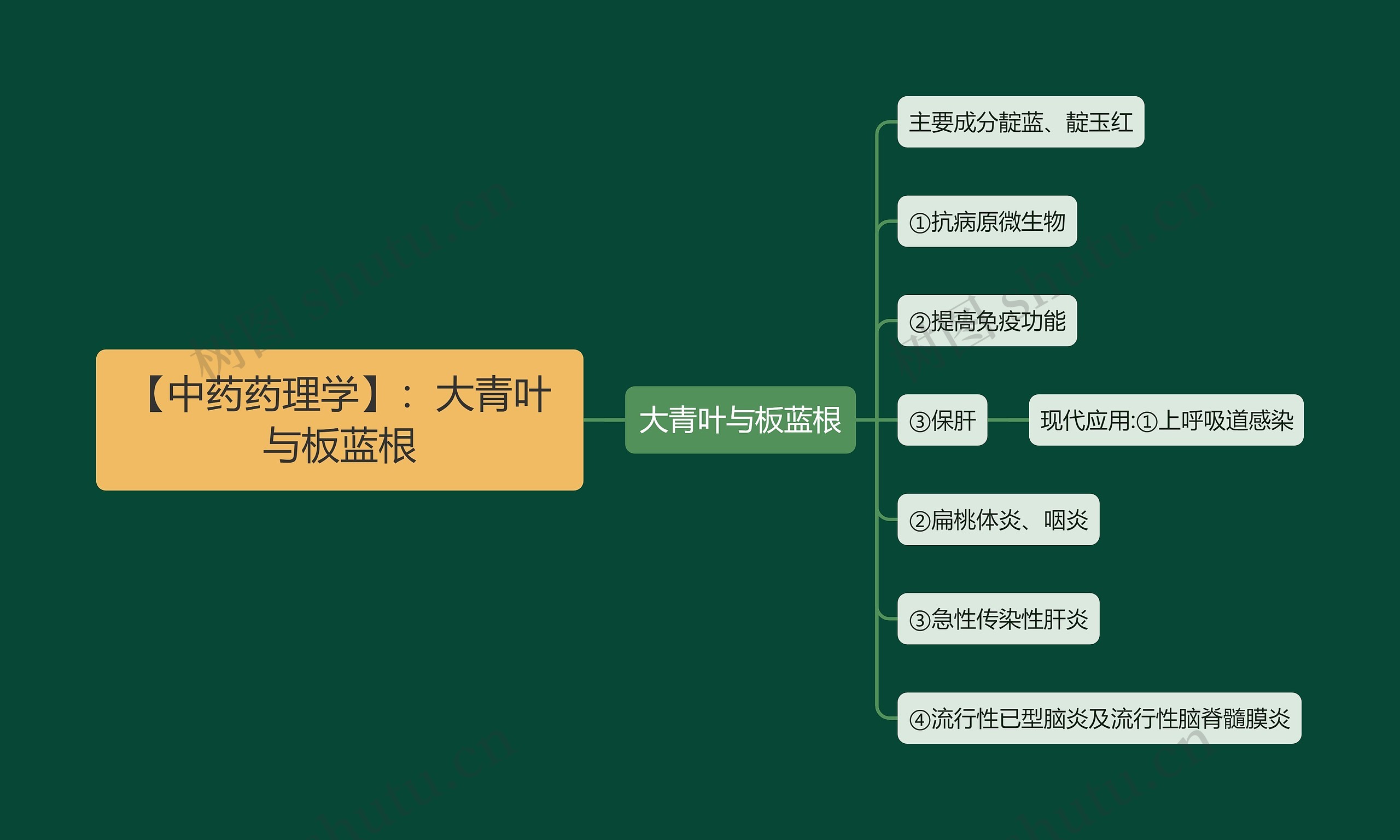 【中药药理学】：大青叶与板蓝根思维导图