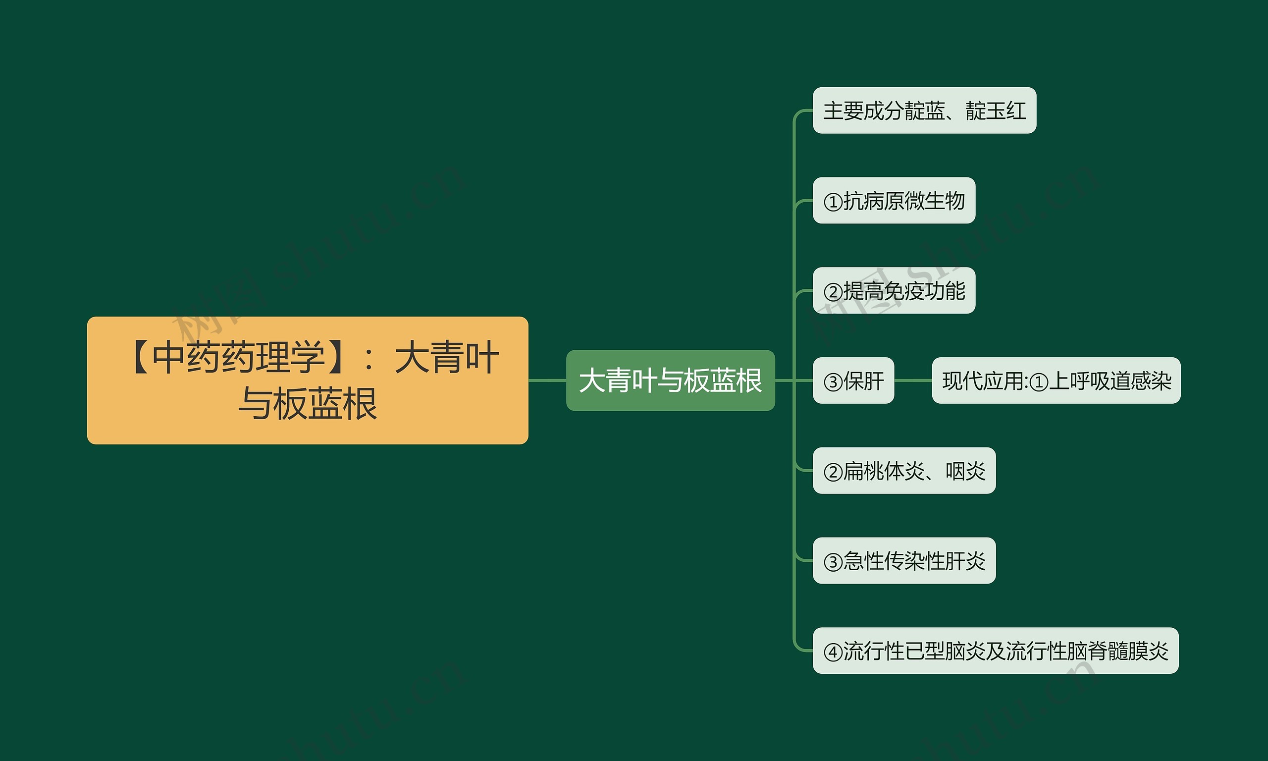 【中药药理学】:大青叶与板蓝根 【中药药理学】:大青叶与板蓝根