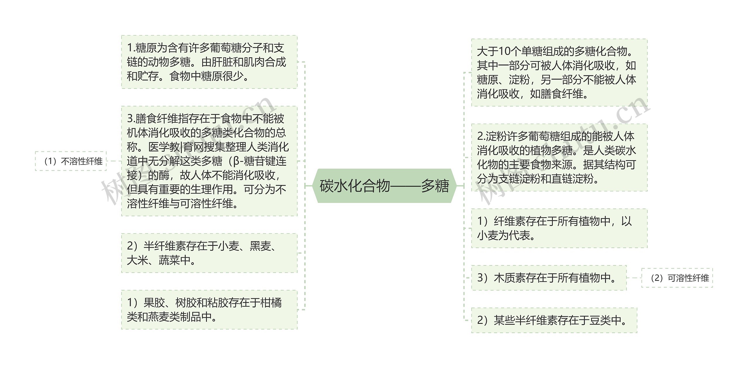 碳水化合物——多糖思维导图