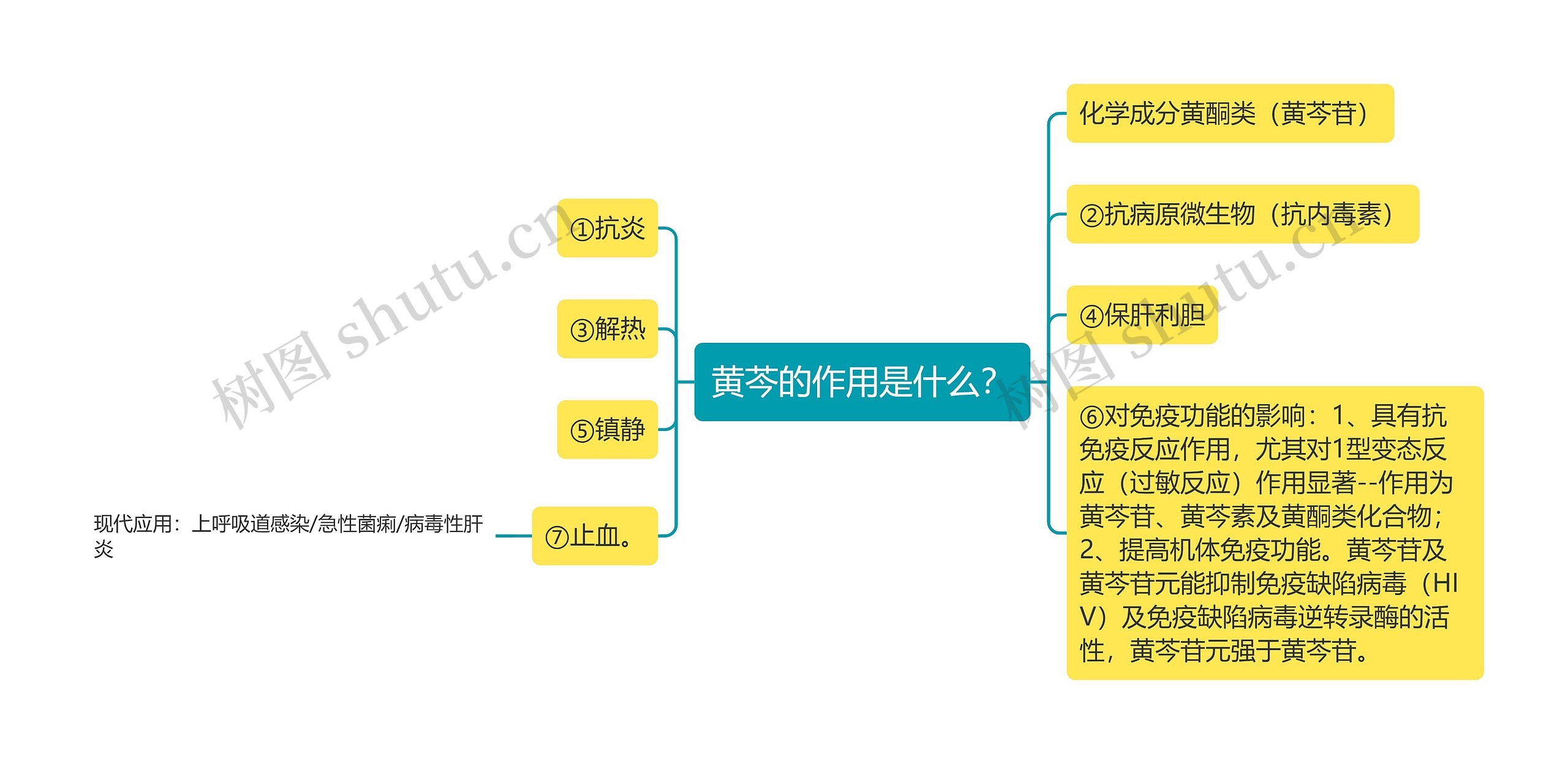 黄芩的作用是什么？