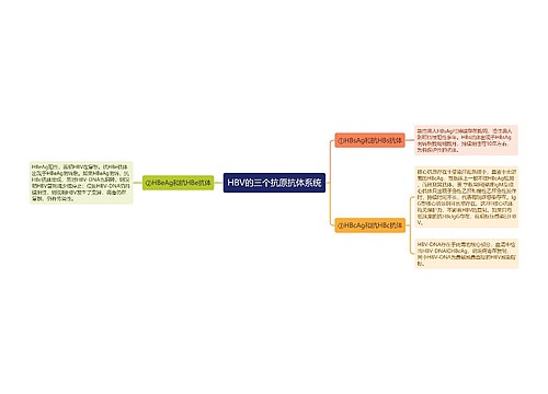 HBV的三个抗原抗体系统