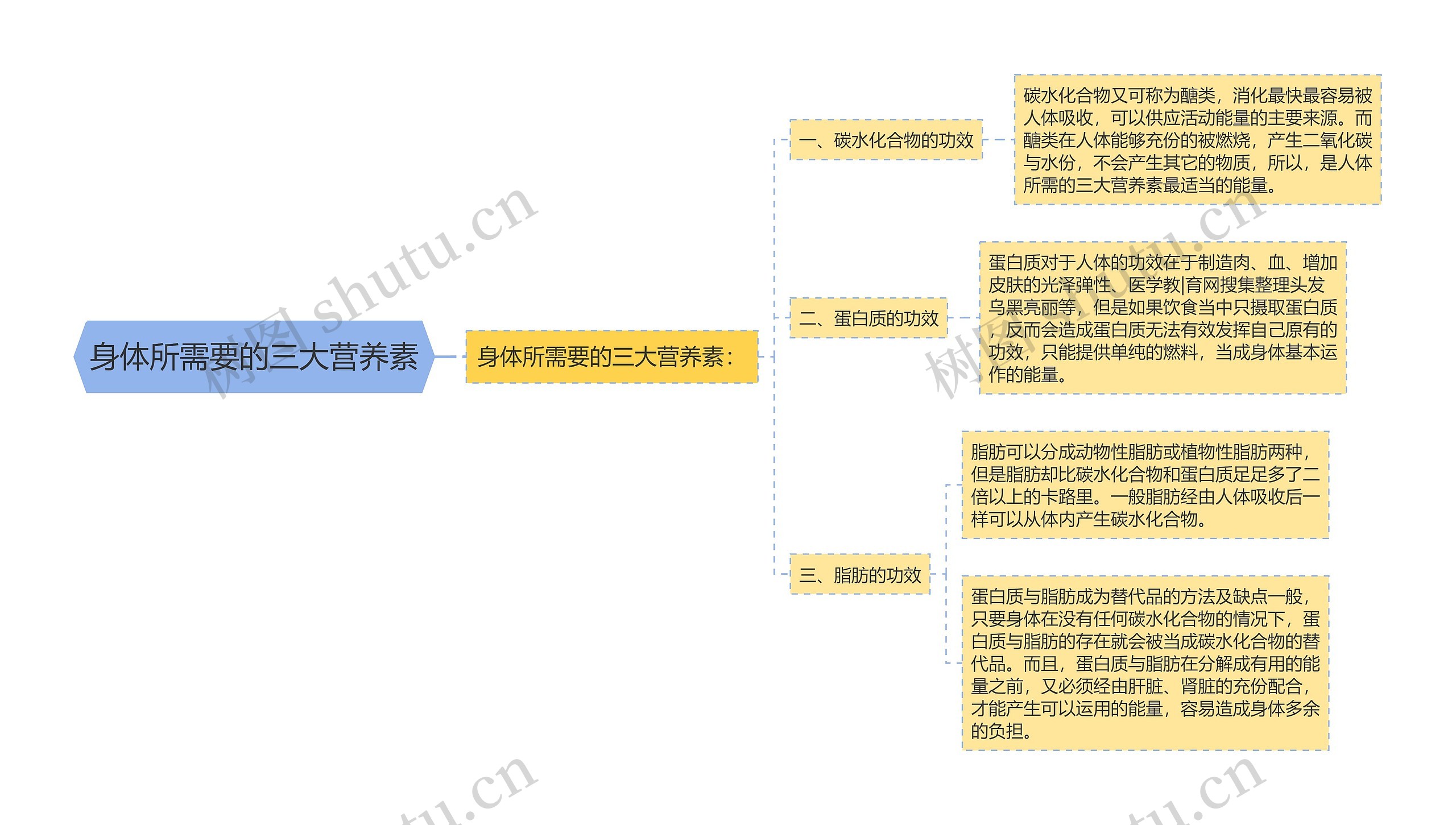 身体所需要的三大营养素思维导图