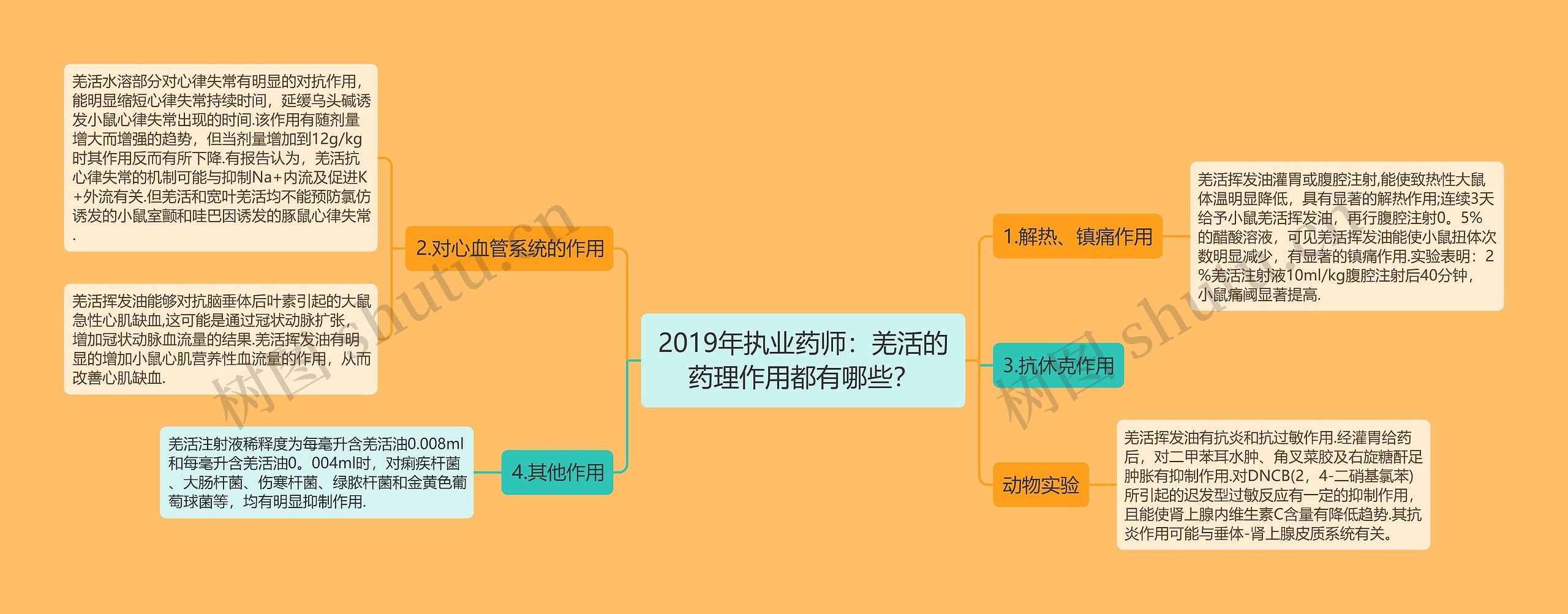 2019年执业药师：羌活的药理作用都有哪些？思维导图