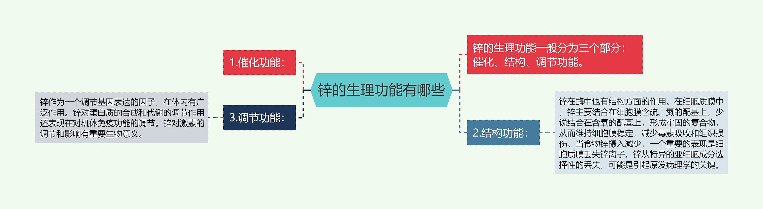 锌的生理功能有哪些 锌的生理功能有哪些