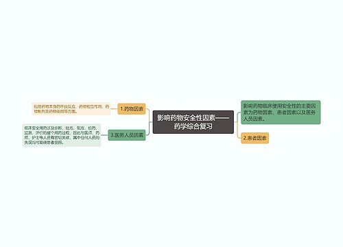 影响药物安全性因素——药学综合复习