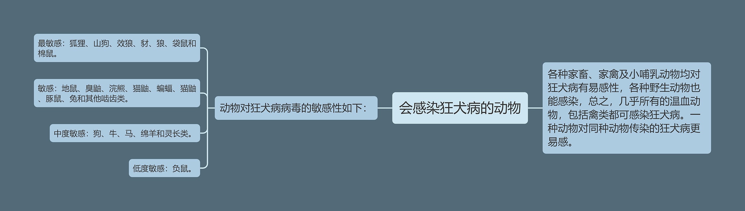 会感染狂犬病的动物 会感染狂犬病的动物