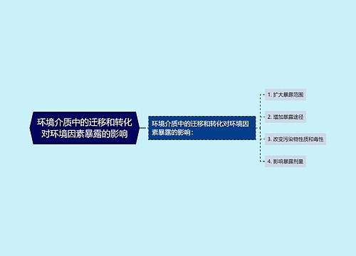 环境介质中的迁移和转化对环境因素暴露的影响
