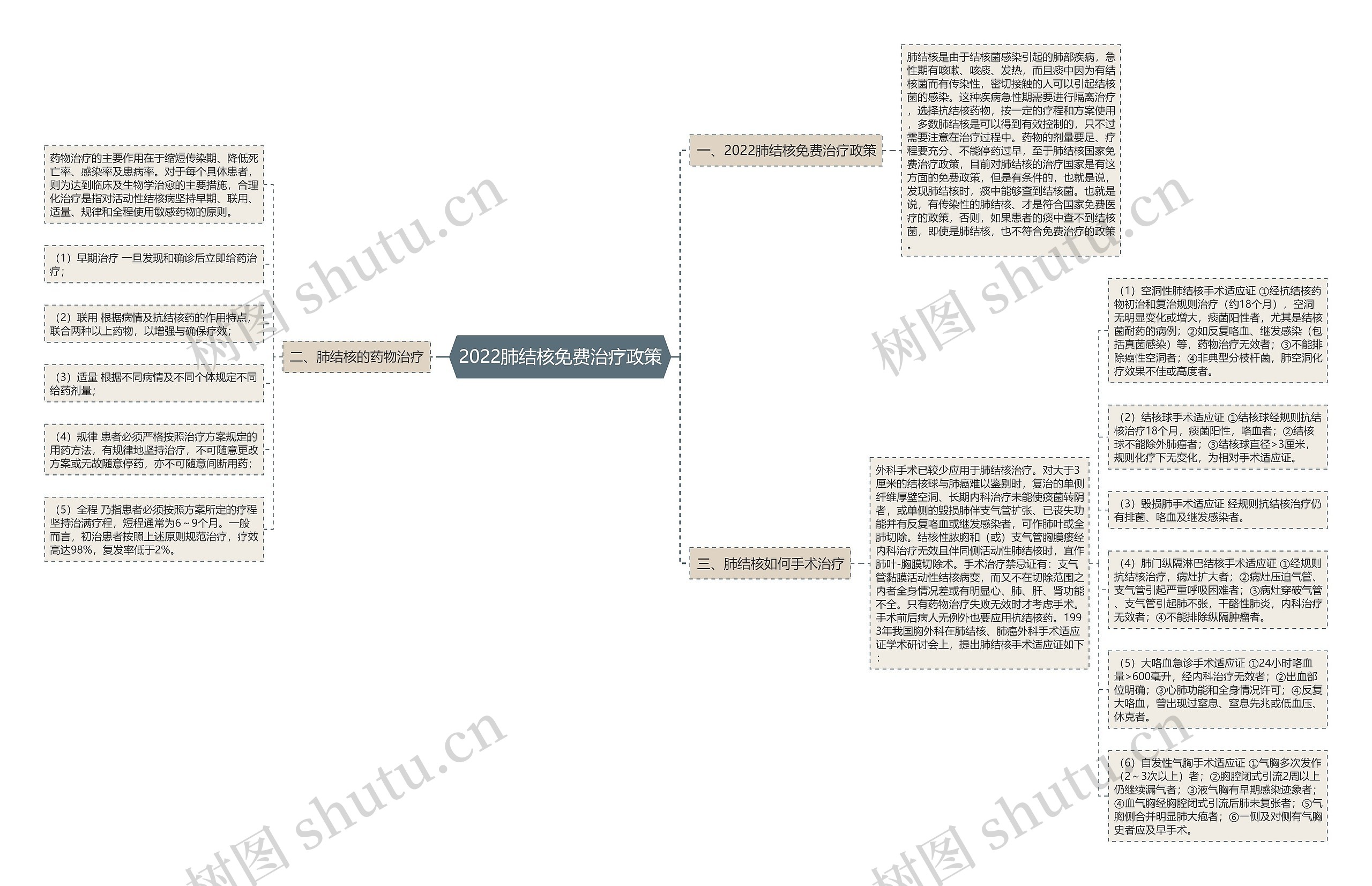 2022肺结核免费治疗政策思维导图