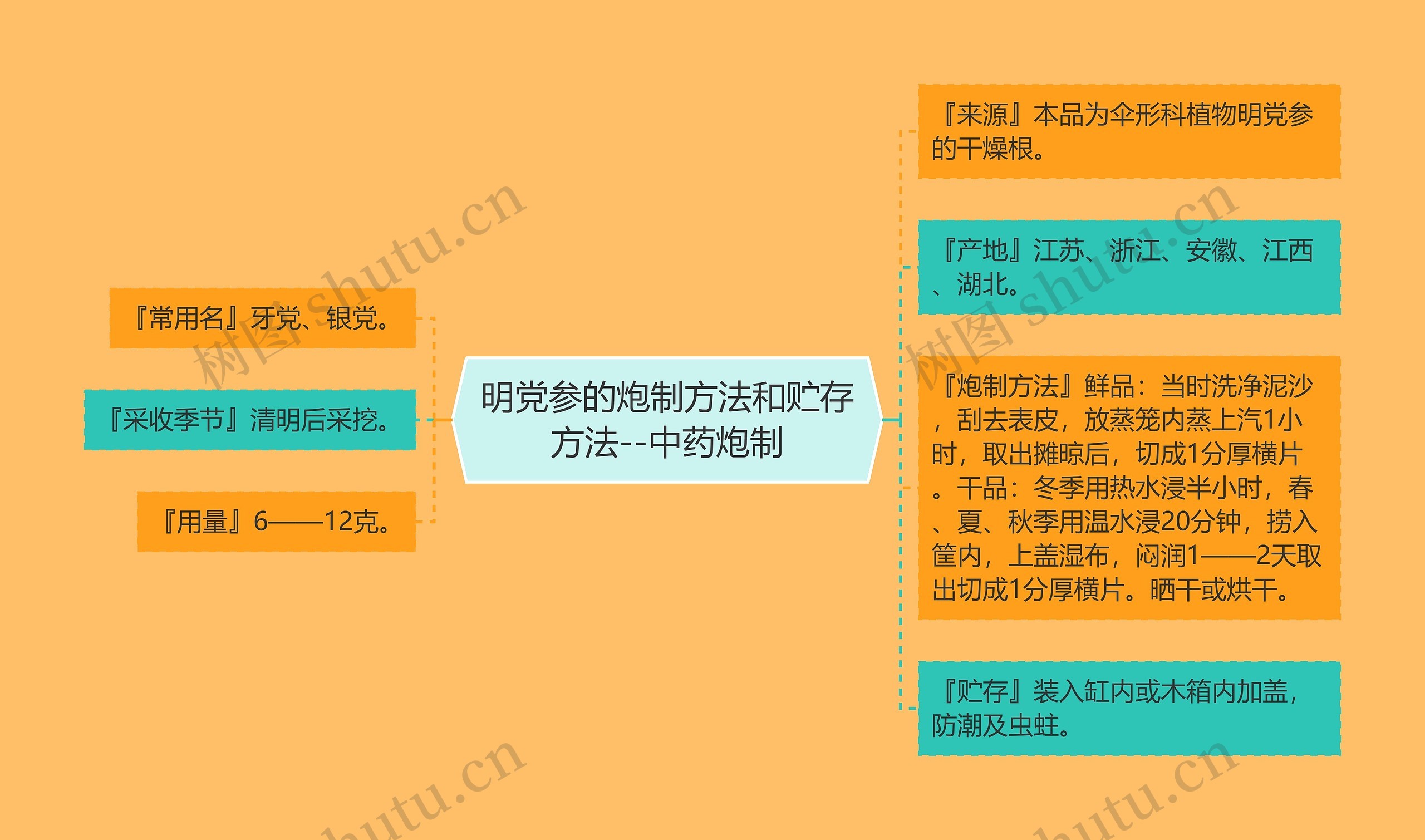 明党参的炮制方法和贮存方法--中药炮制思维导图