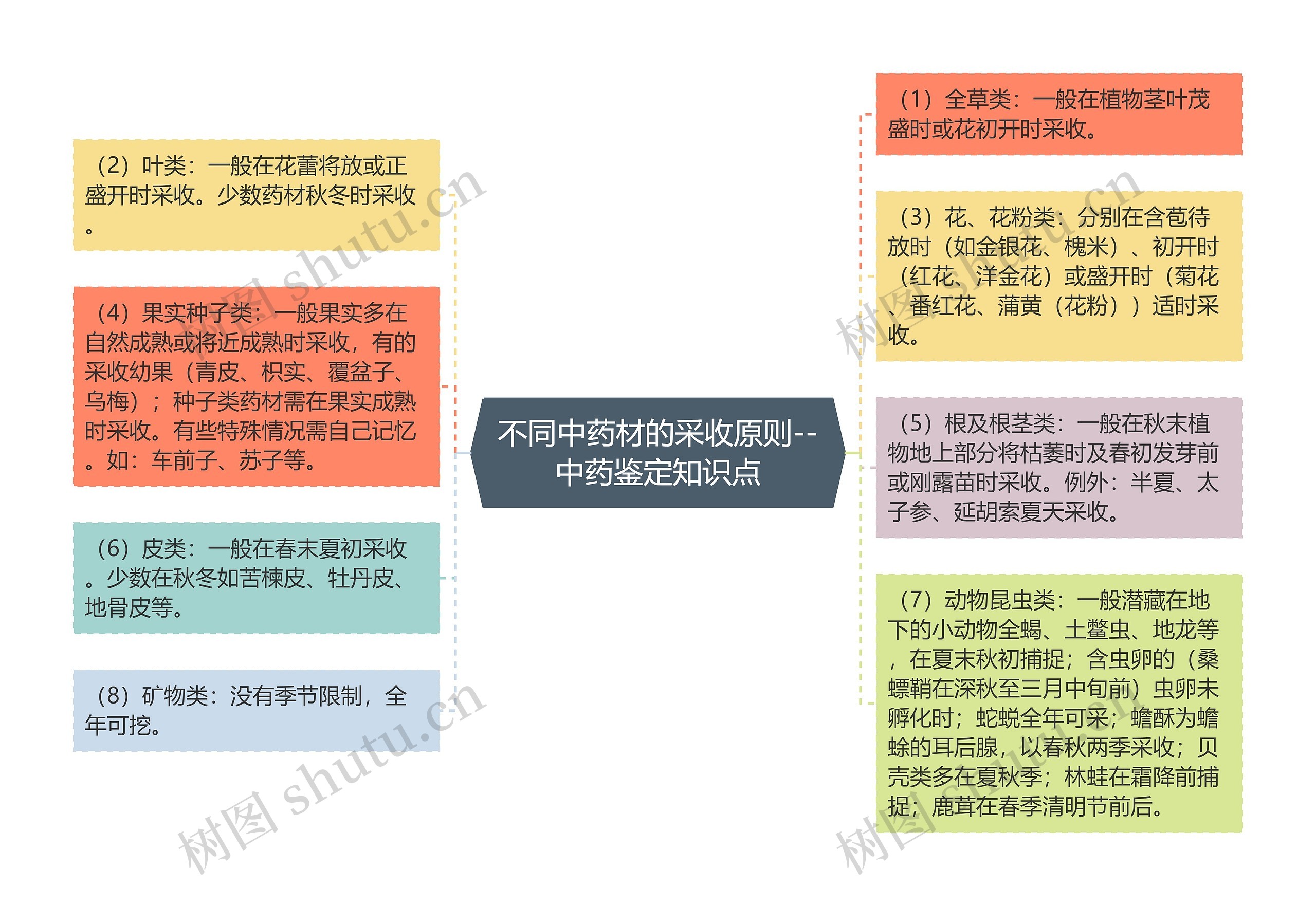 不同中药材的采收原则--中药鉴定知识点思维导图