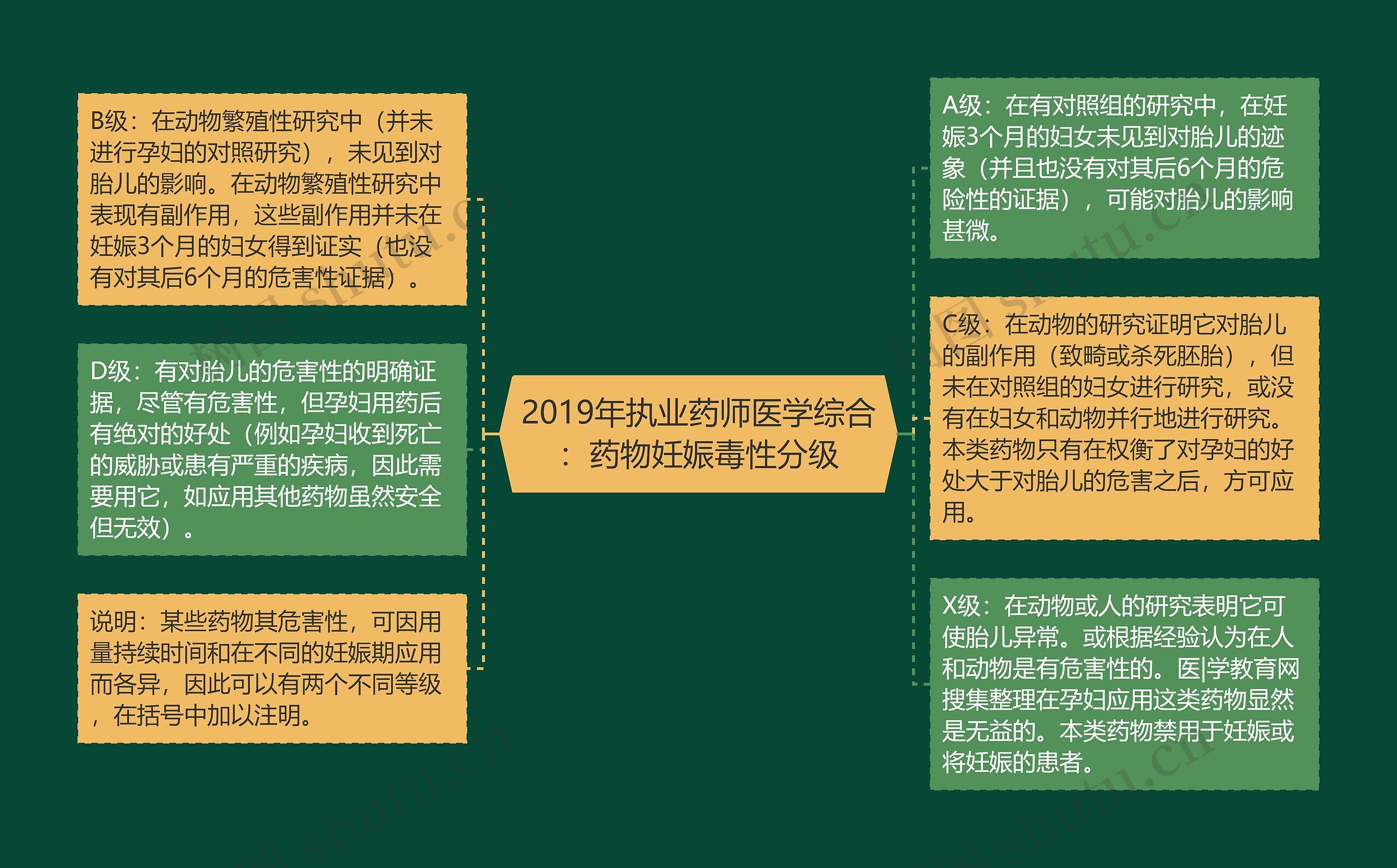 2019年执业药师医学综合：药物妊娠毒性分级思维导图