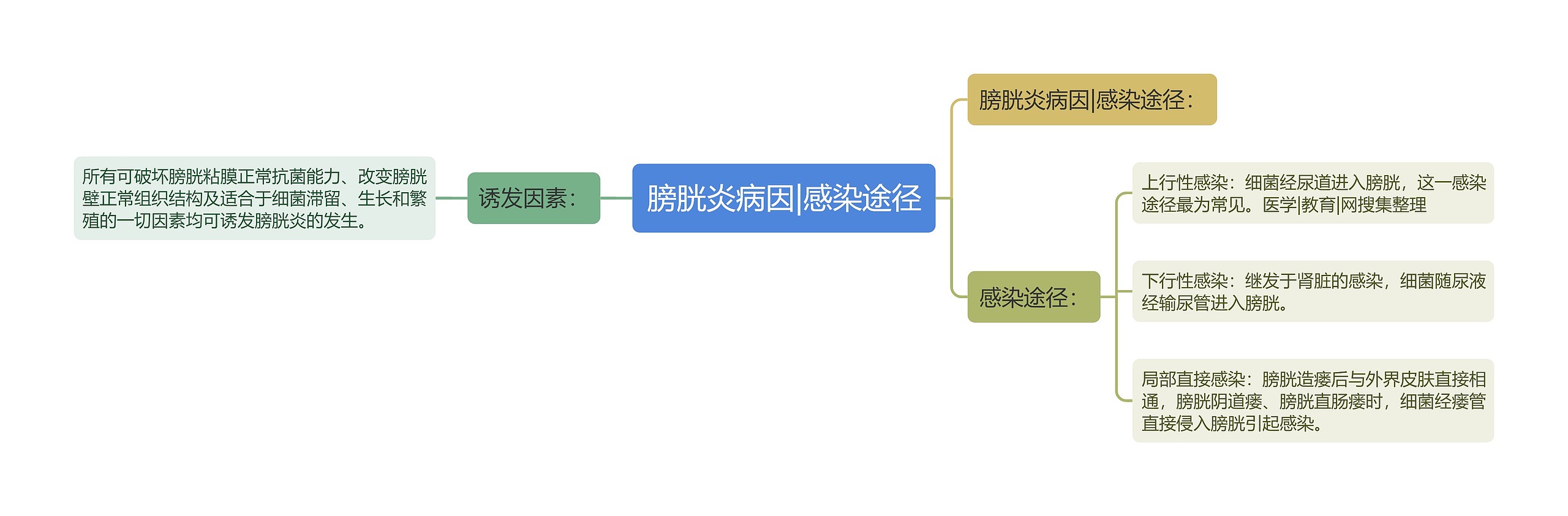 膀胱炎病因|感染途径