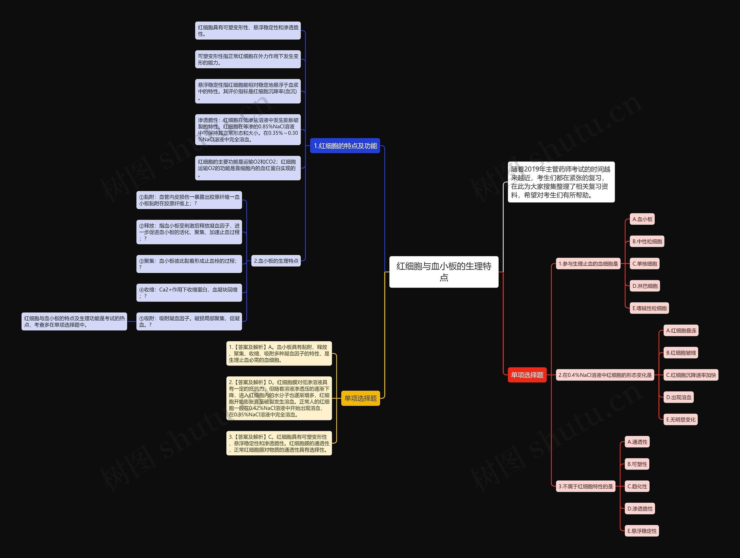 红细胞与血小板的生理特点思维导图