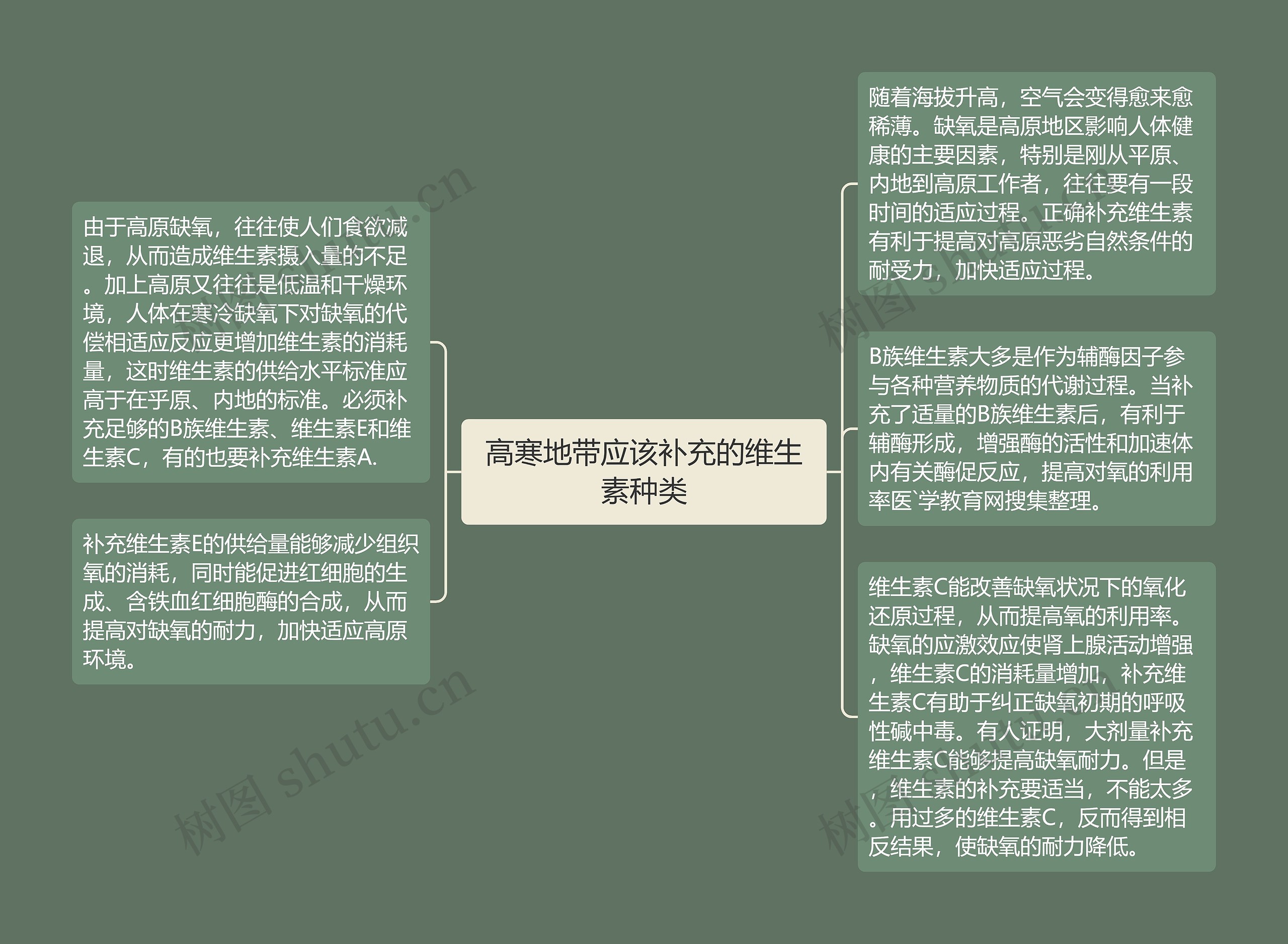 高寒地带应该补充的维生素种类思维导图