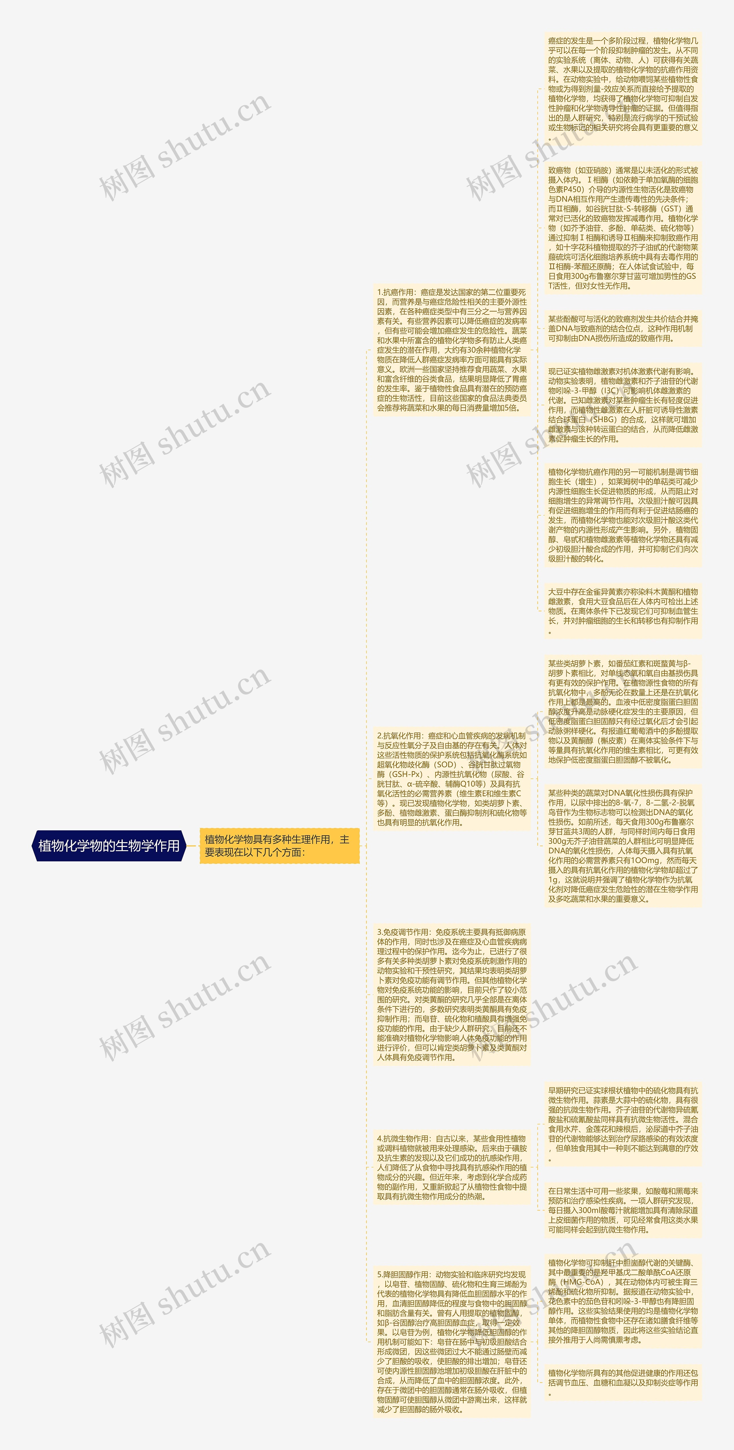 植物化学物的生物学作用思维导图