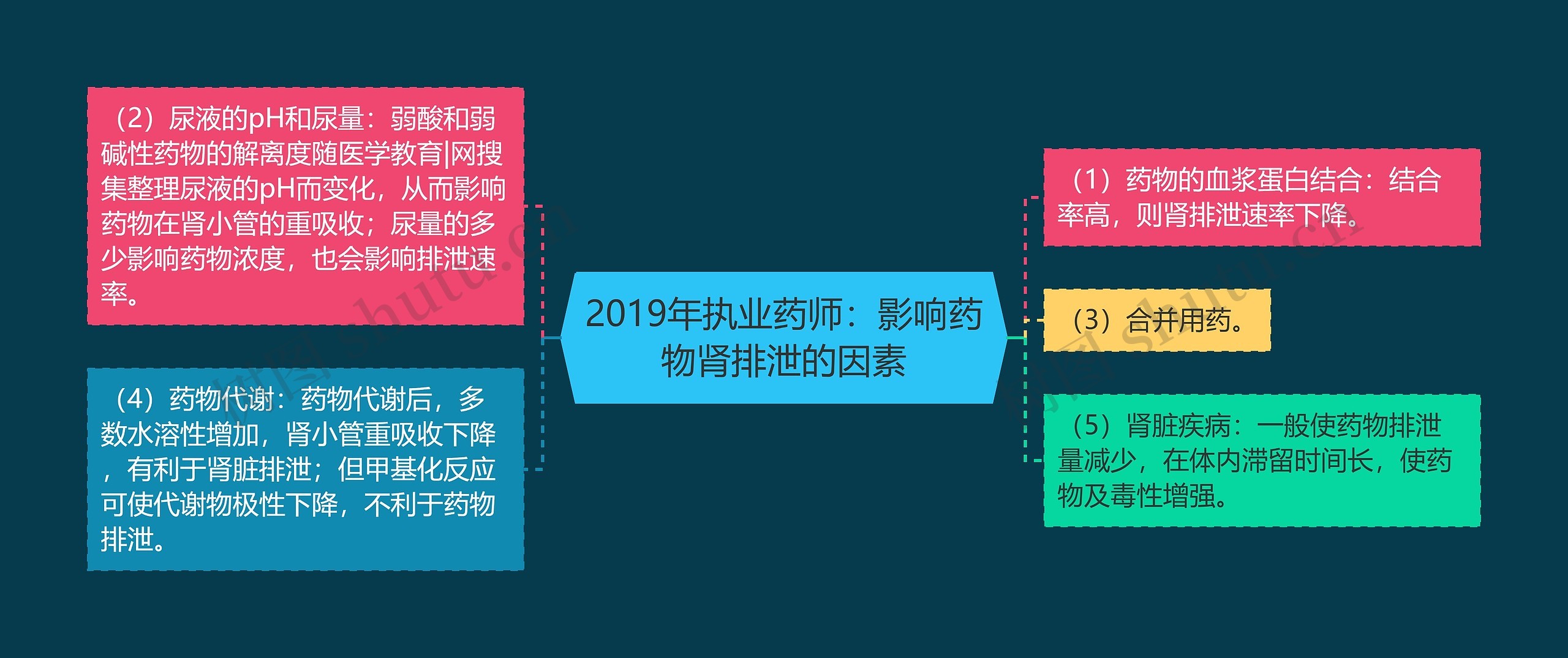 2019年执业药师:影响药物肾排泄的因素 2019年执业药师:影响药物肾排泄的因素