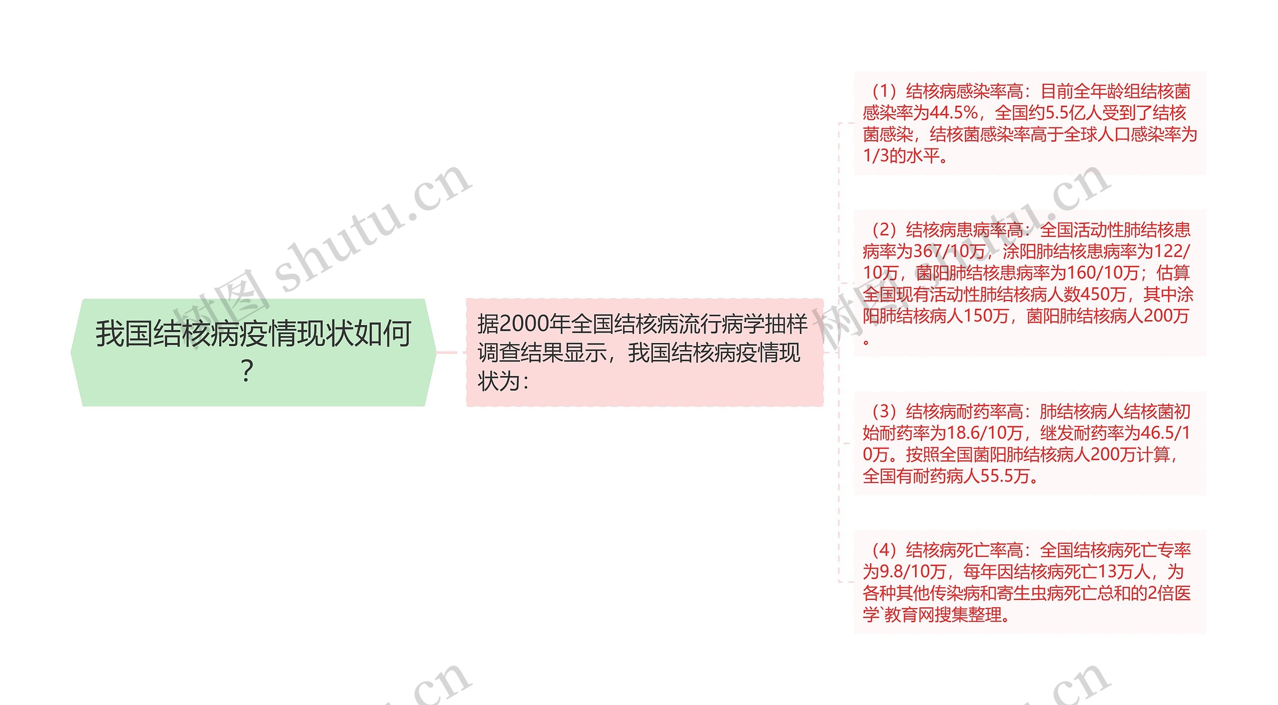 我国结核病疫情现状如何？思维导图