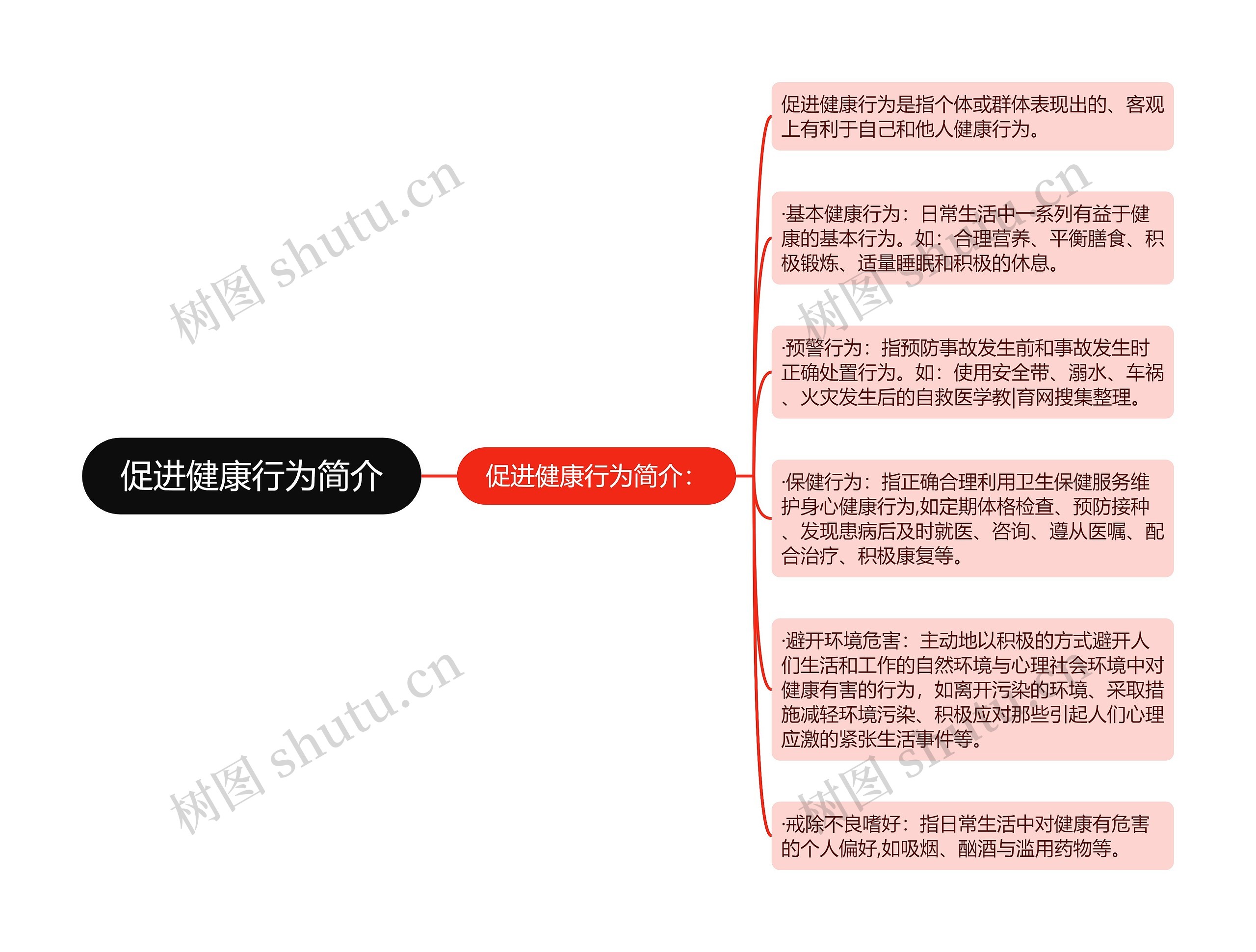 促进健康行为简介思维导图