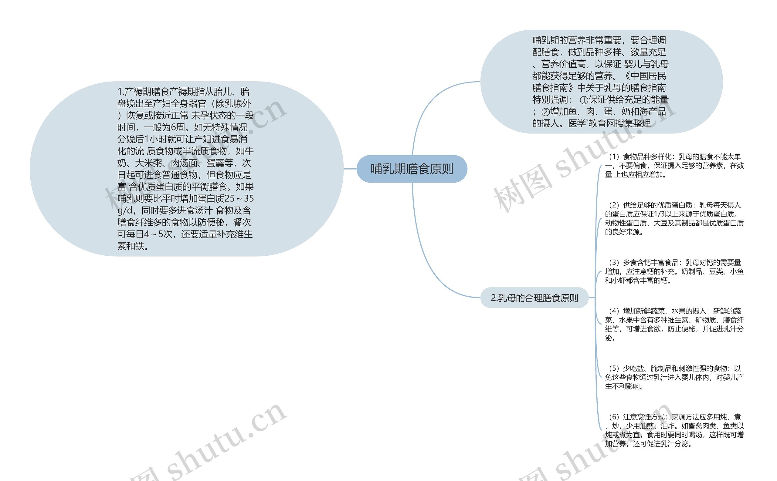 哺乳期膳食原则思维导图