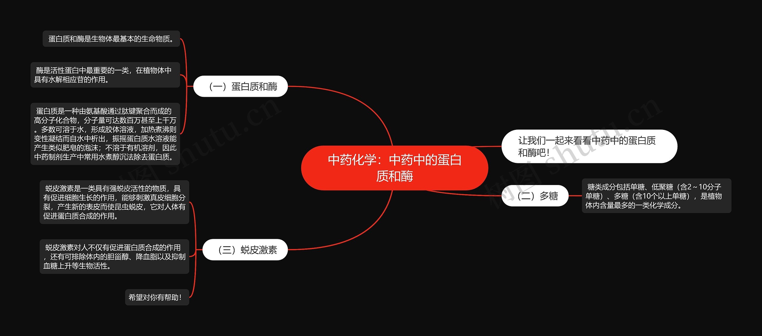 中药化学：中药中的蛋白质和酶思维导图