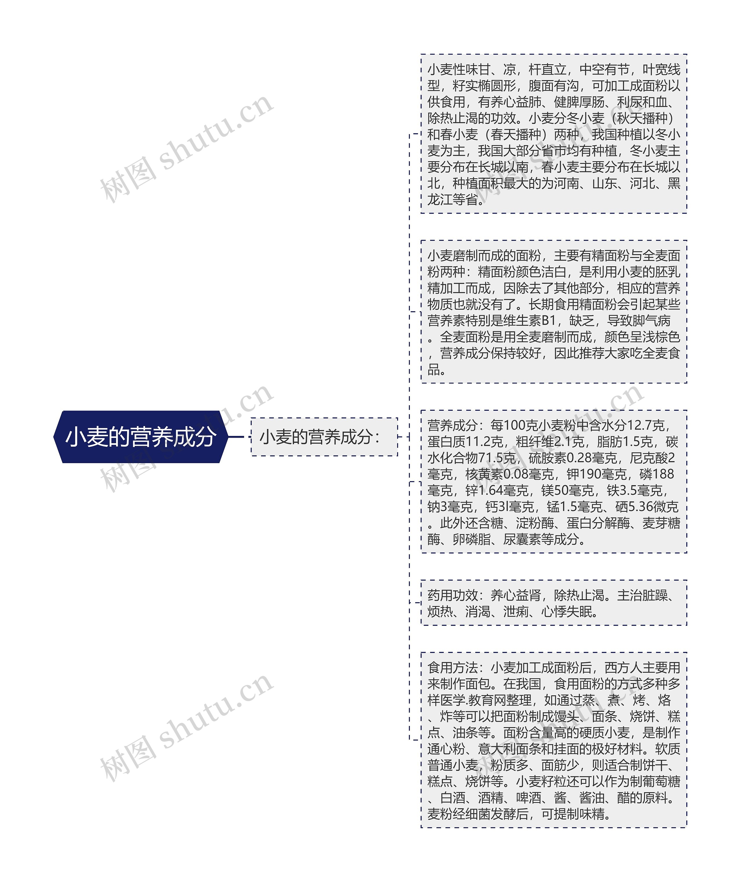 小麦的营养成分