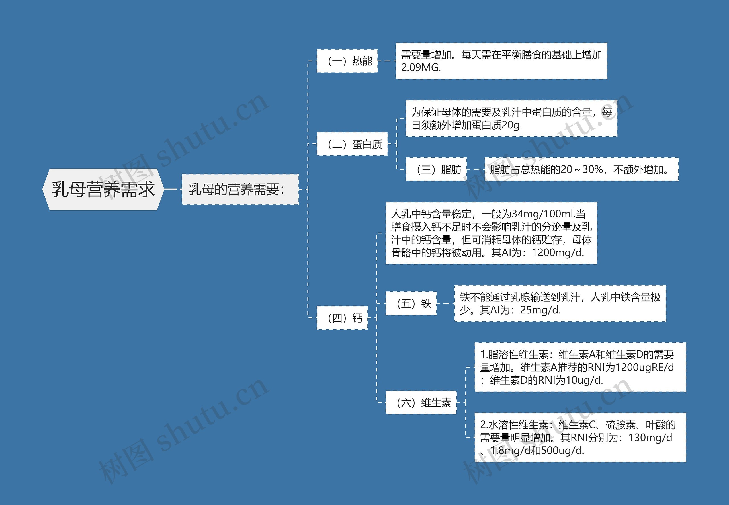 乳母营养需求思维导图