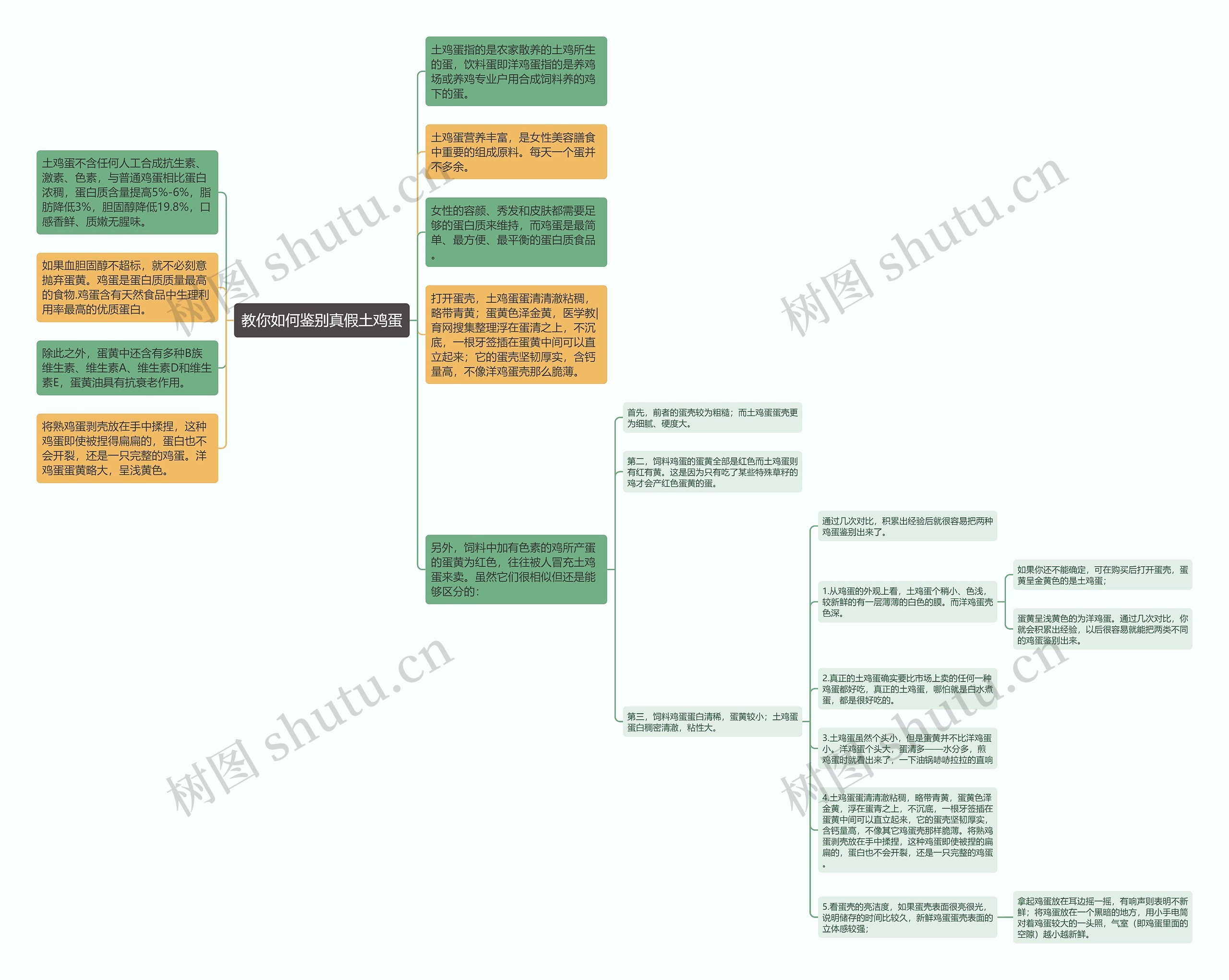 教你如何鉴别真假土鸡蛋思维导图