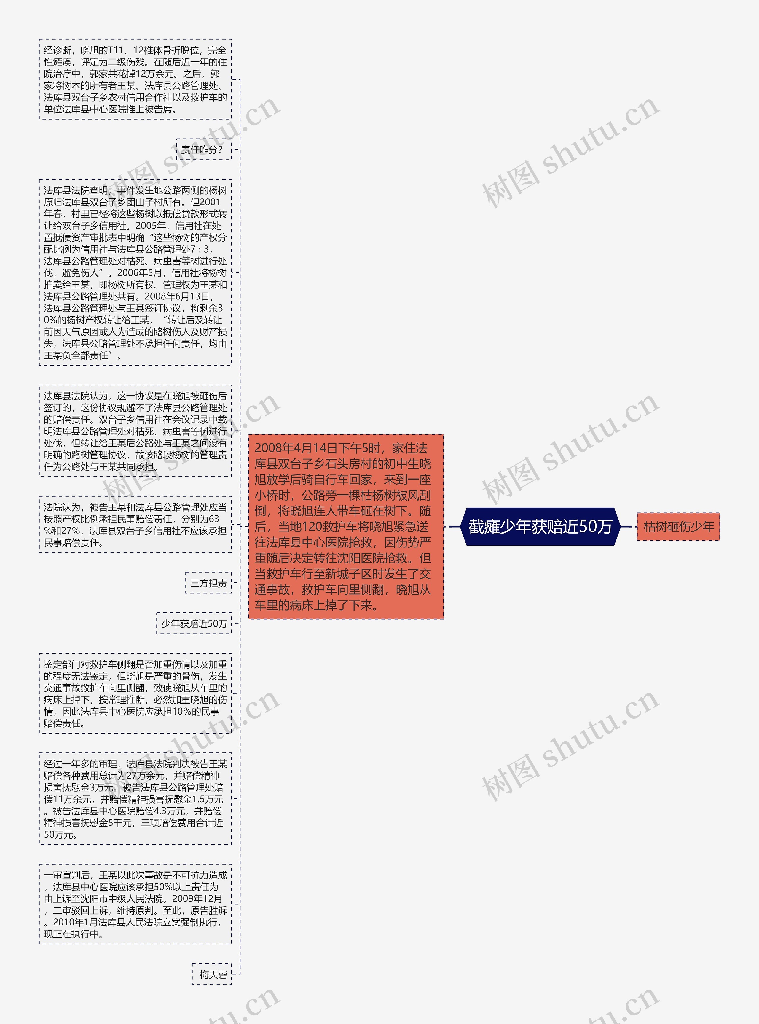 截瘫少年获赔近50万思维导图