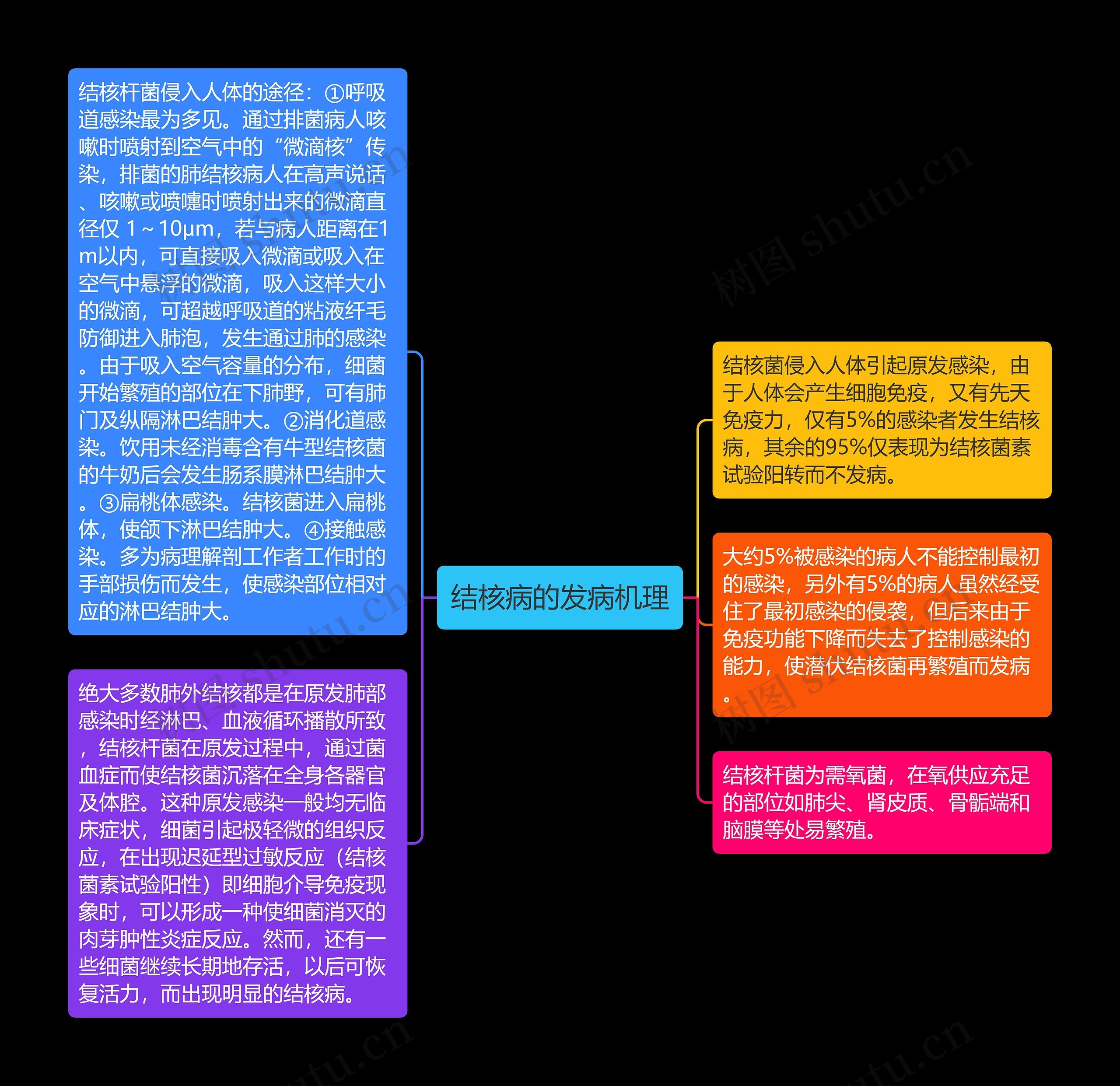 结核病的发病机理思维导图