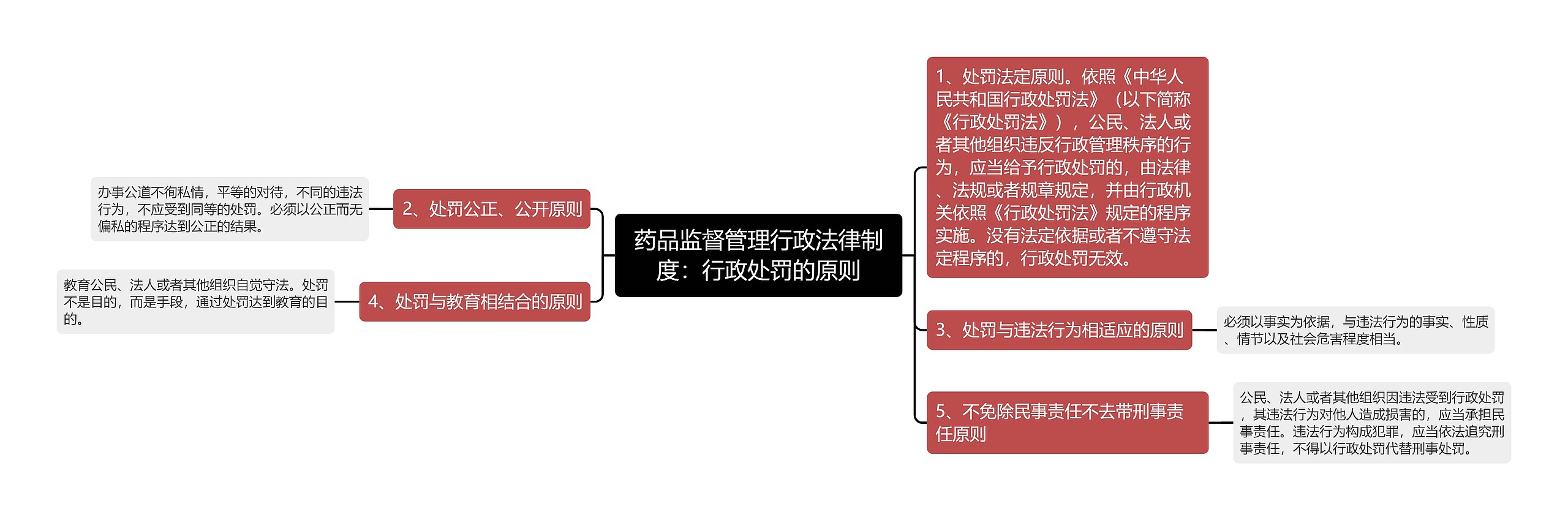 药品监督管理行政法律制度：行政处罚的原则