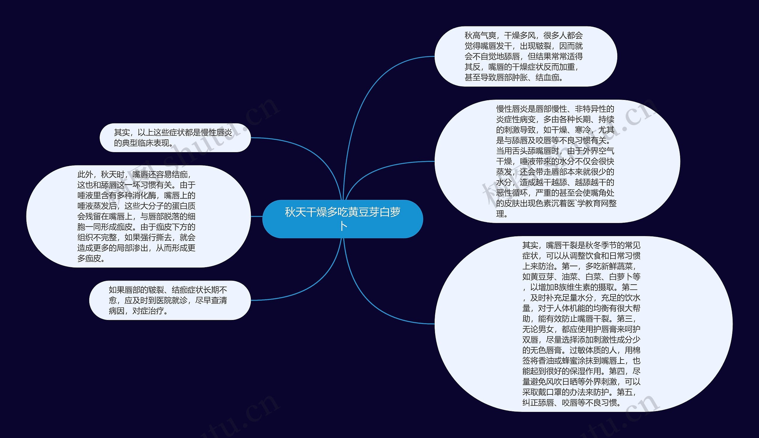 秋天干燥多吃黄豆芽白萝卜思维导图