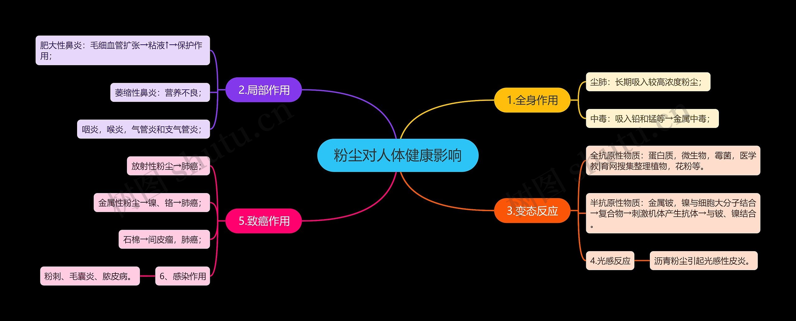 粉尘对人体健康影响思维导图