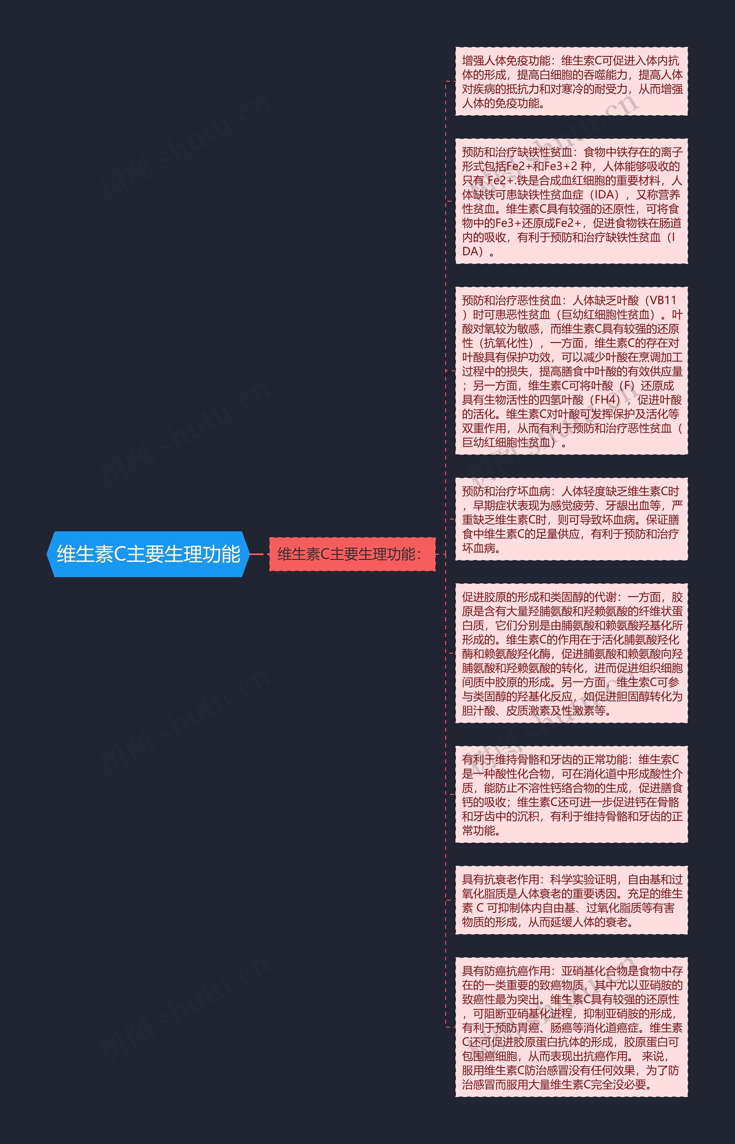 维生素C主要生理功能思维导图