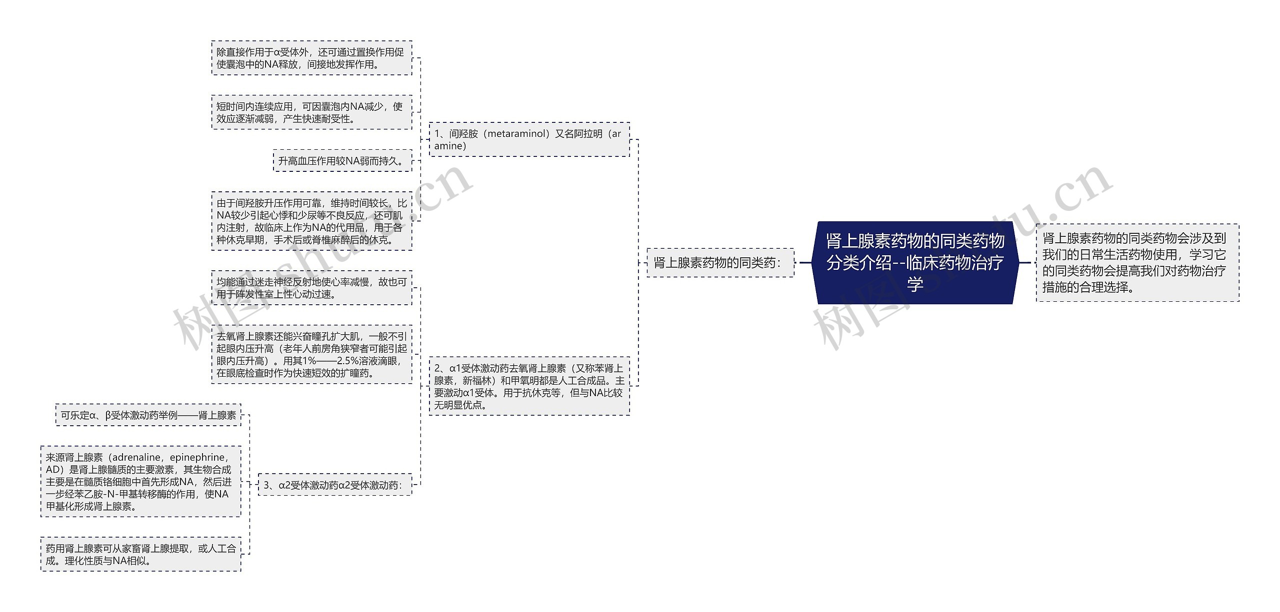 ​肾上腺素药物的同类药物分类介绍--临床药物治疗学思维导图