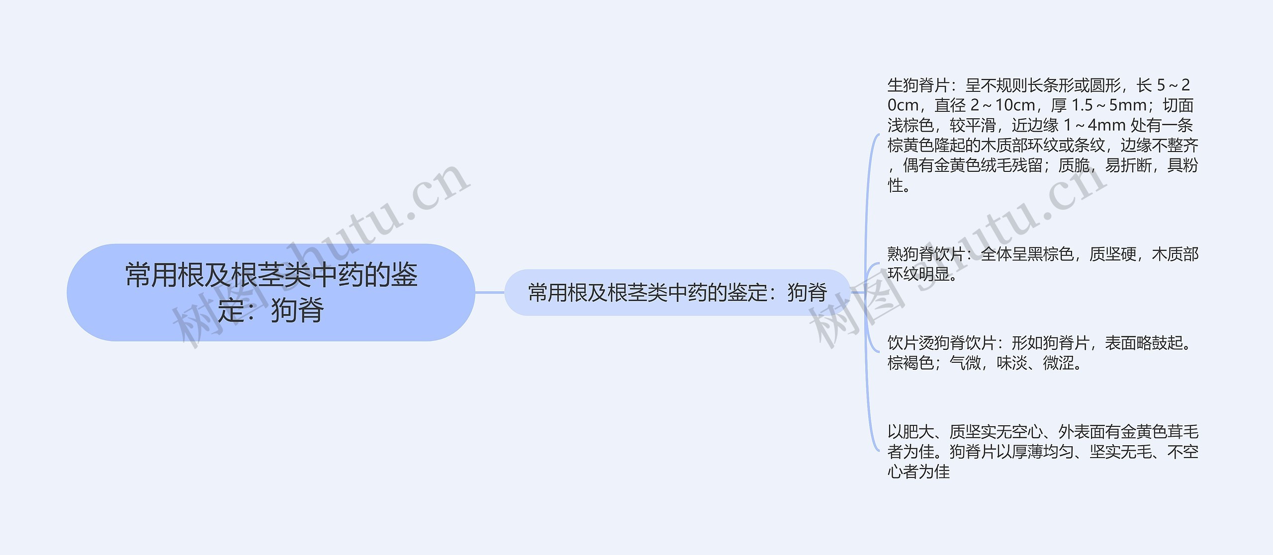 常用根及根茎类中药的鉴定：狗脊思维导图